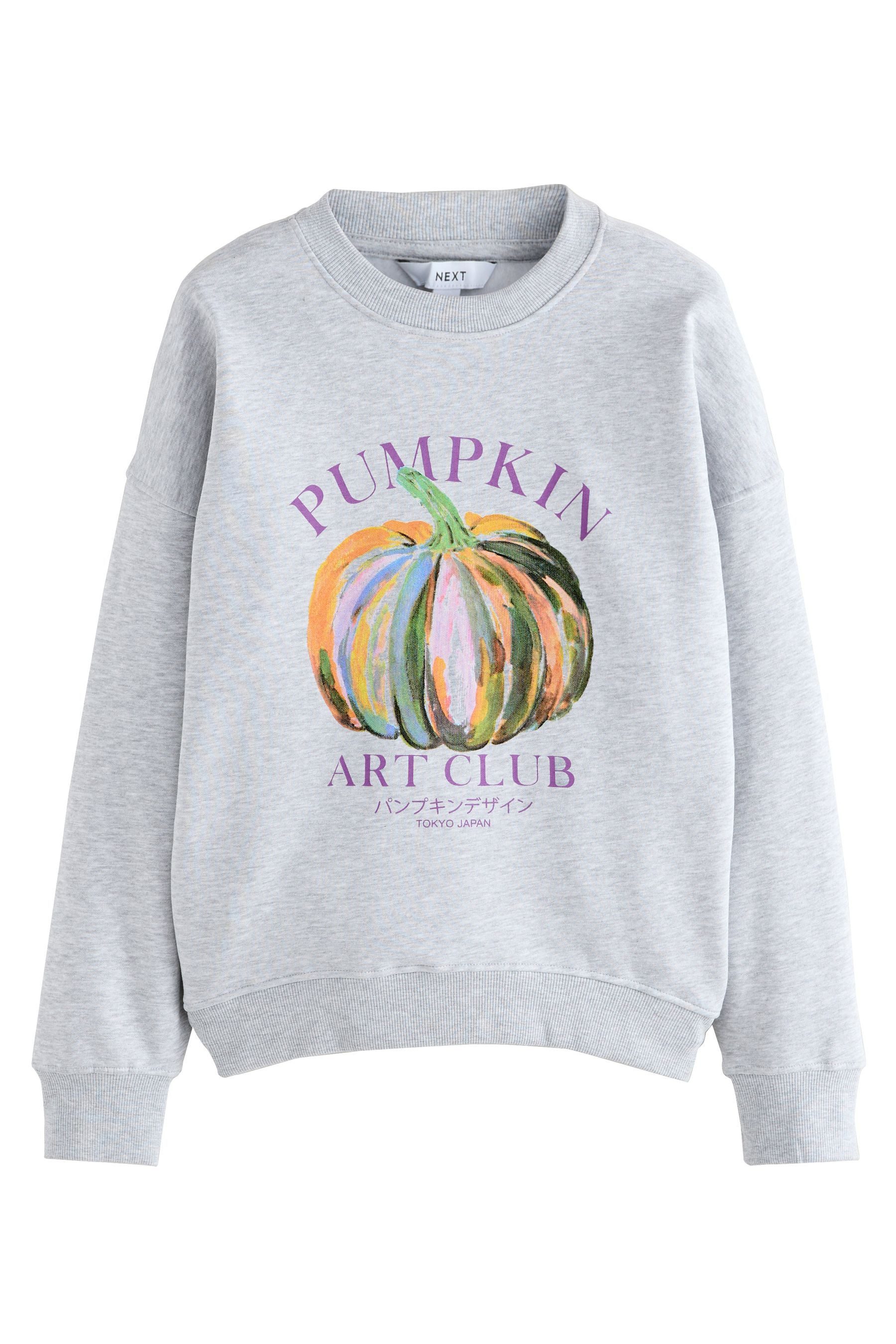 Next Sweater Sweatshirt mit gemaltem Kürbis günstig online kaufen