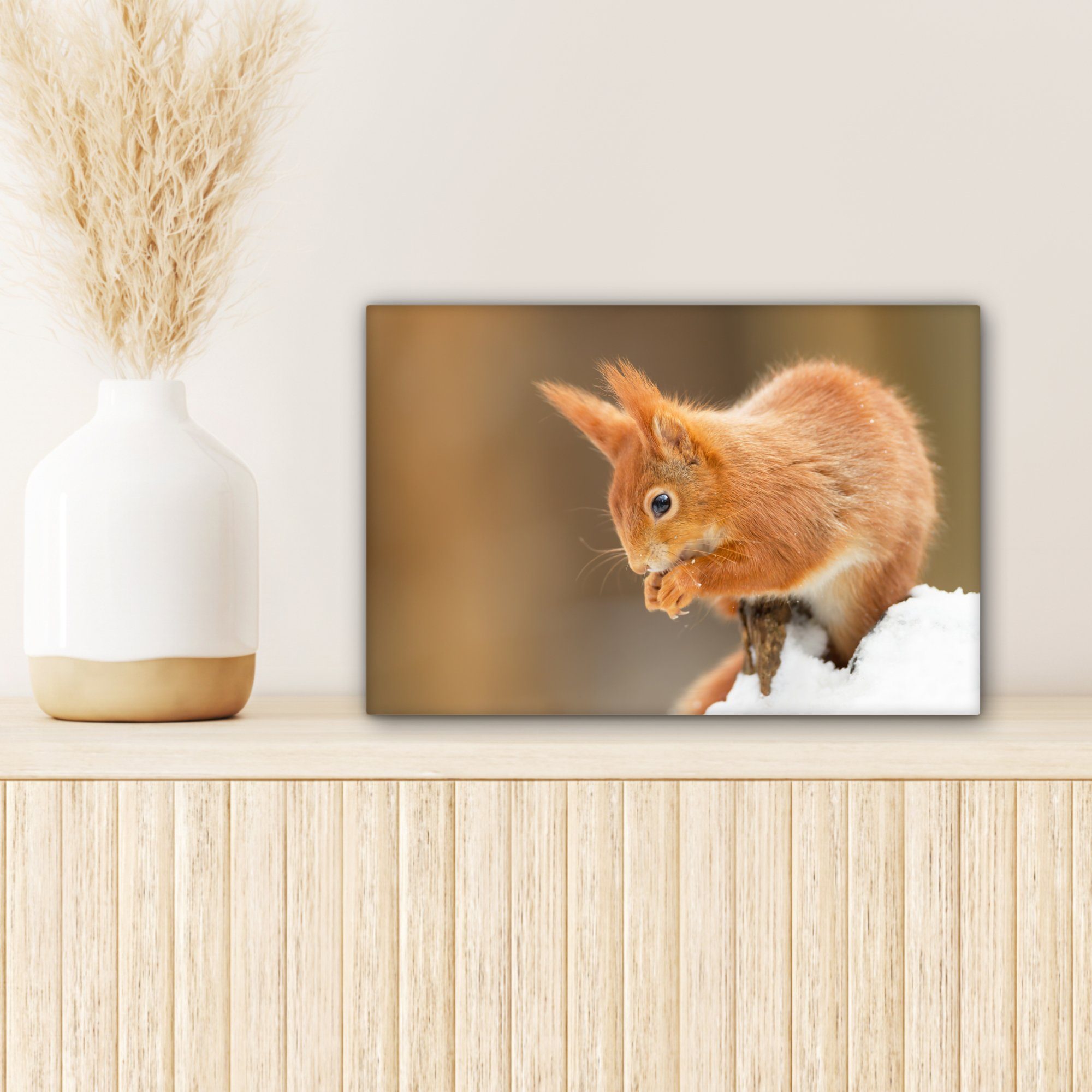 St), cm Aufhängefertig, Leinwandbilder, OneMillionCanvasses® (1 30x20 Wandbild Eichhörnchen Wanddeko, Leinwandbild mit Farbe, roter