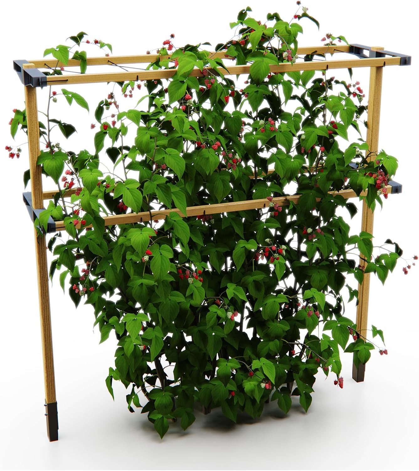 Gusta Garden Rankhilfe BERRY BUDDY, erweiterbares Rankgitter aus Holz, 120c günstig online kaufen