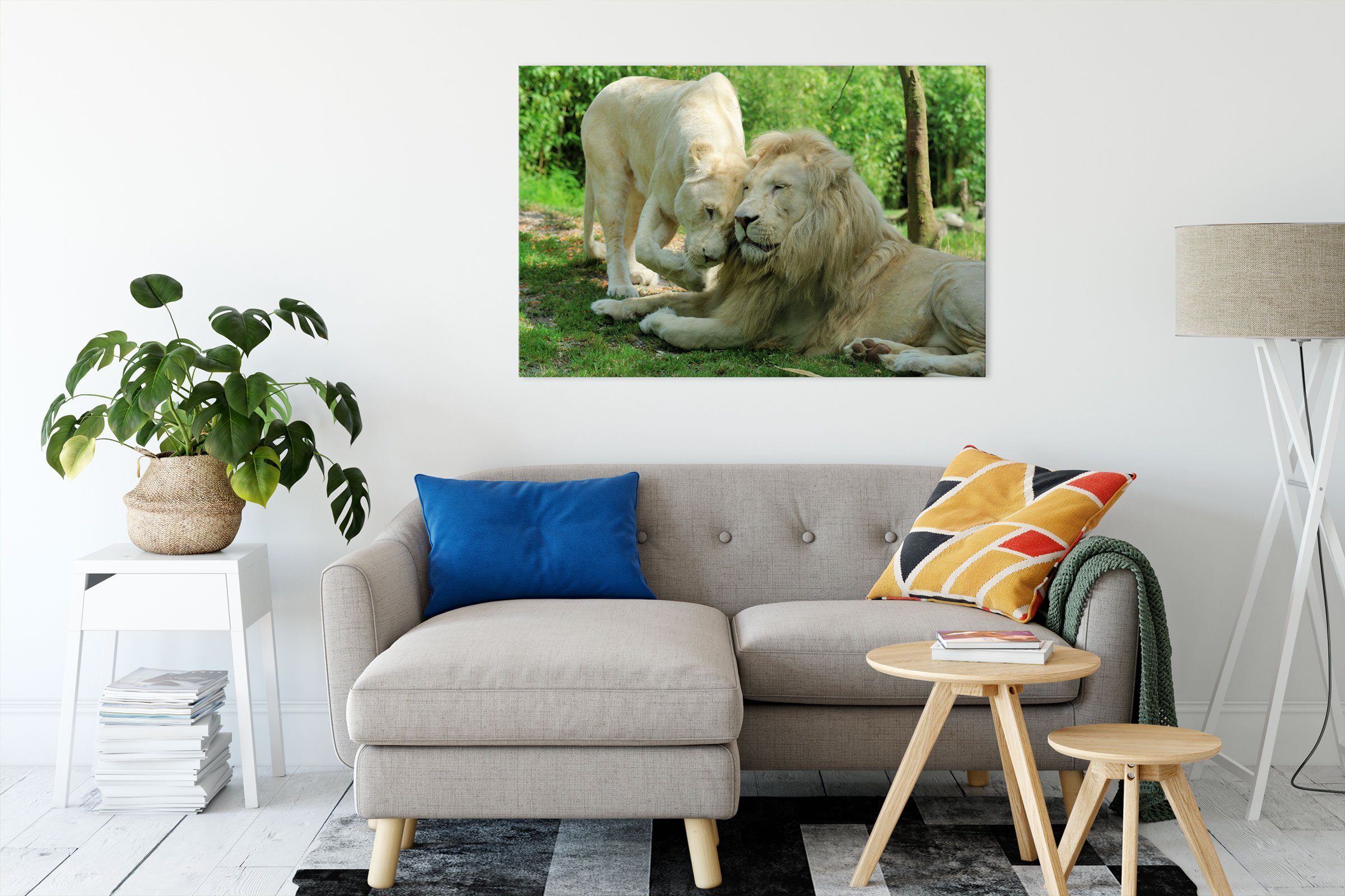 Pixxprint Leinwandbild inkl. Zackenaufhänger Leinwandbild verliebtes verliebtes Löwenpaar, bespannt, St), fertig (1 Löwenpaar