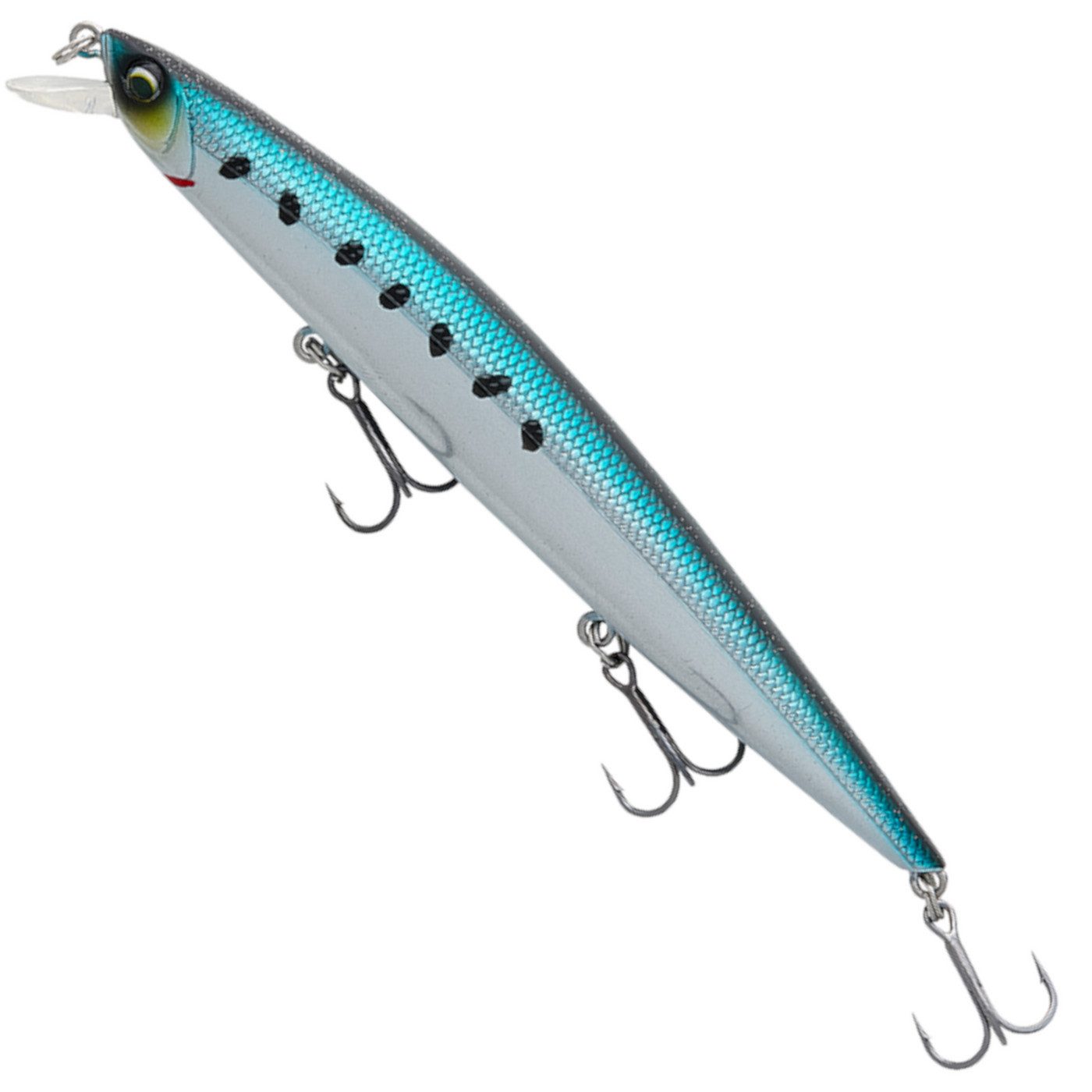 Mirror Sardine