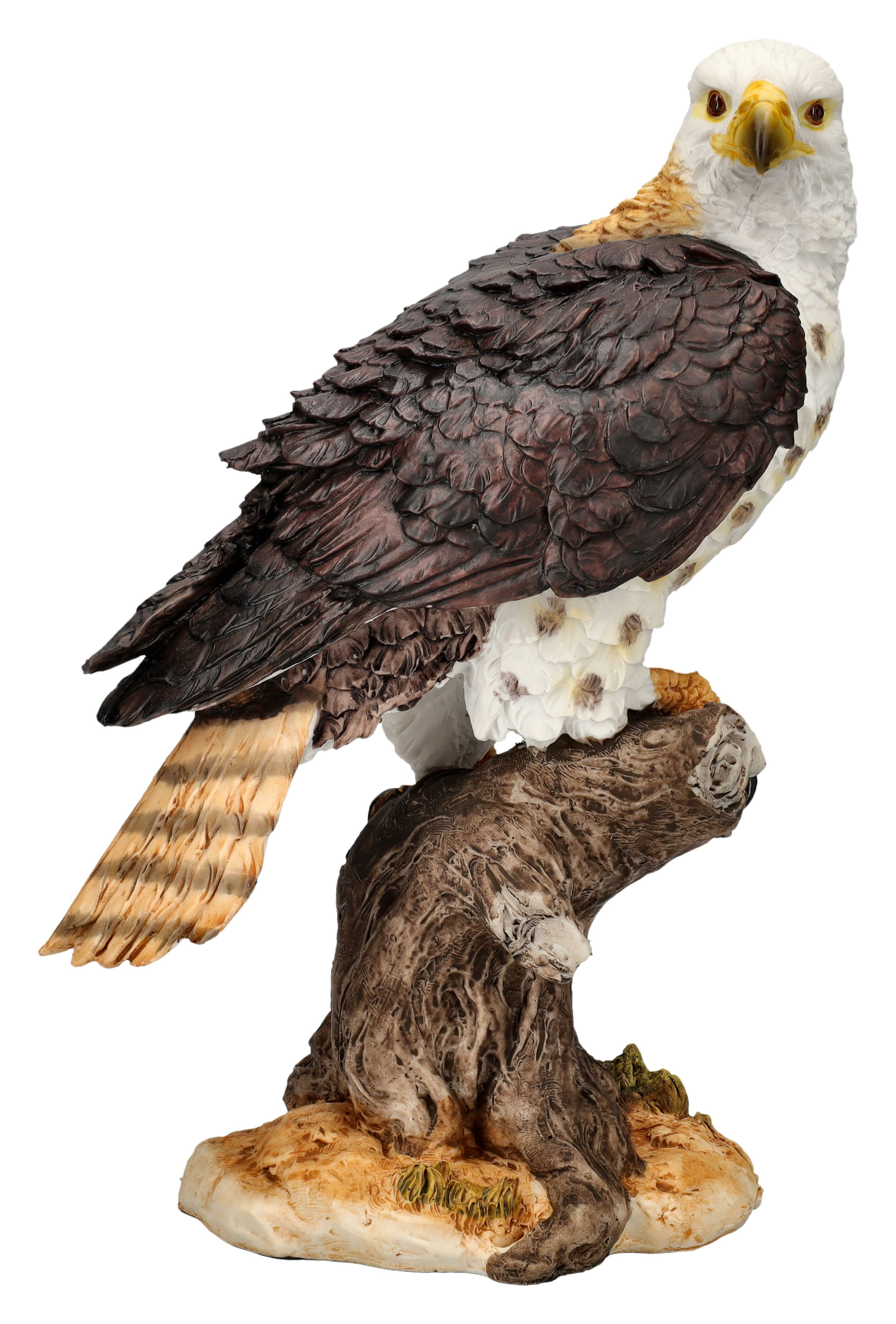 Figuren Shop GmbH Tierfigur Adler Figur - Ruhe vor der Jagd - Dekofigur Tierfigur Vogel Dekoration
