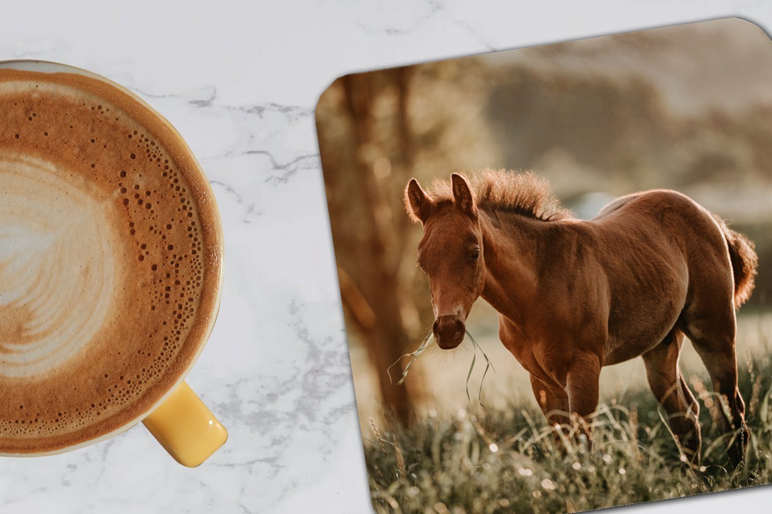 Tischuntersetzer, Korkuntersetzer, Glasuntersetzer Tasse Untersetzer, MuchoWow - 6-tlg., Licht für Gläser, Pferd Wiese, Glasuntersetzer, Zubehör -