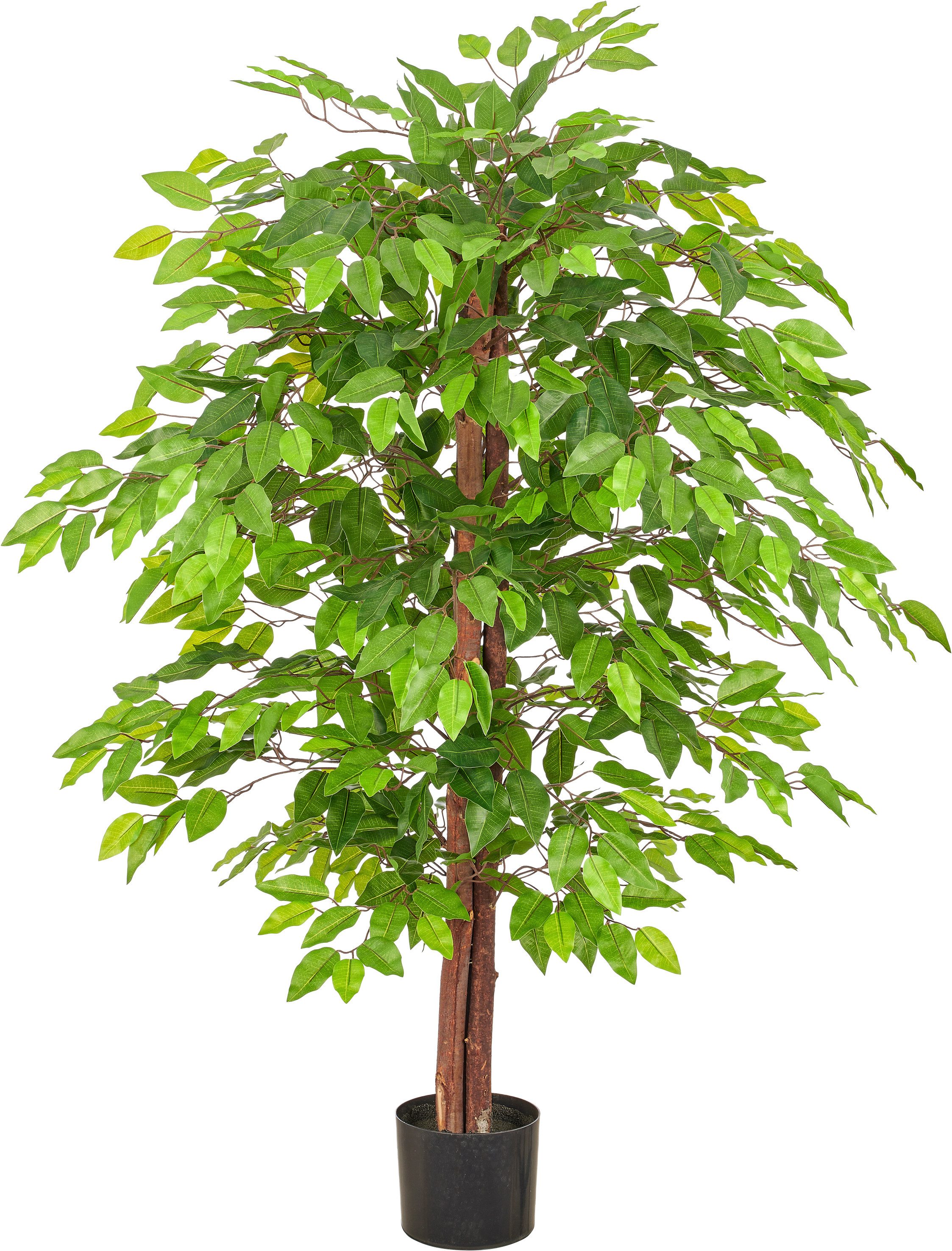 Kunstbaum Ficus benjamina, Creativ green, Höhe 130 cm, mit schönem Blattwerk