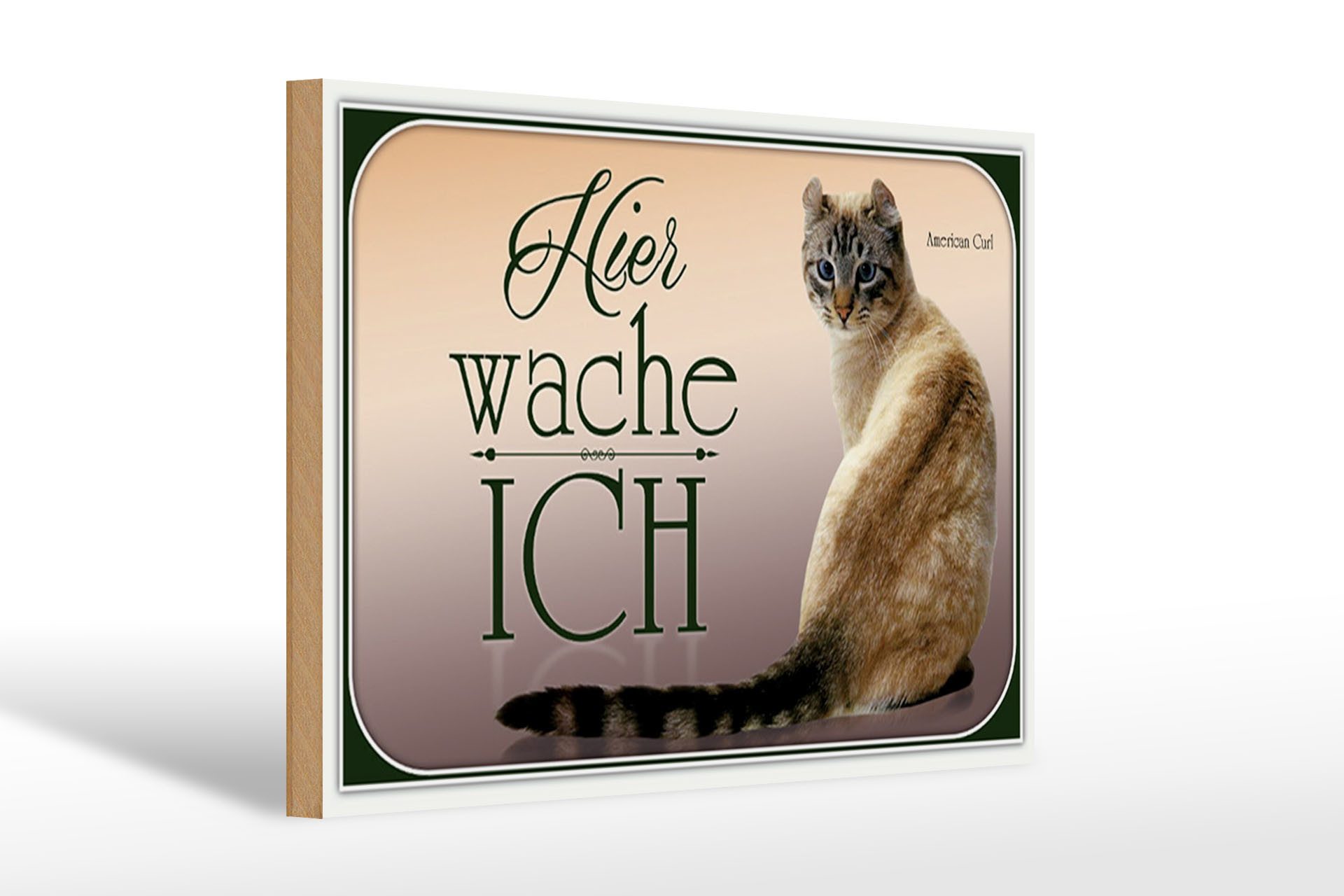 Femer GmbH Holzbild Katze 30x20cm American Curl hier wache ich, (1 St), Glatte Holzfaserplatte (MDF), vorn beschichtet