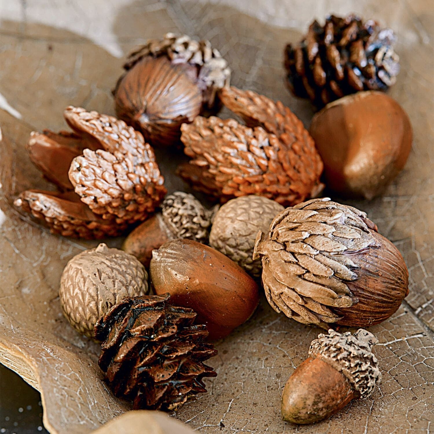 Mirabeau Dekoobjekt Herbstdeko 12er Set Vibius braun