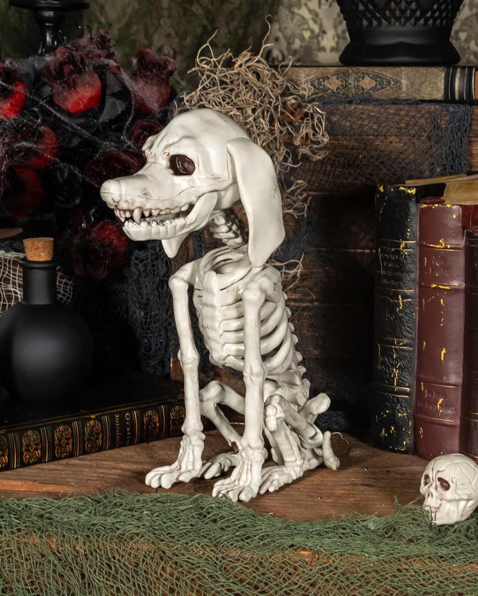 Horror-Shop Dekoobjekt Pudel Hundeskelett als Halloween Dekoration 25 cm günstig online kaufen