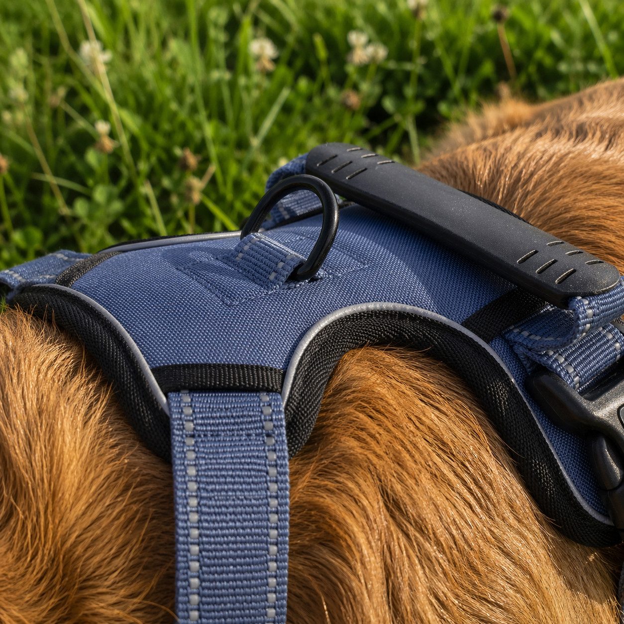 belviona Y-Geschirr gepolstert, reflektierend & verstellbar, Größe S, blau, Nylon, Anti-Zug Hundegeschirr mit Brustring & Kontrollgriff
