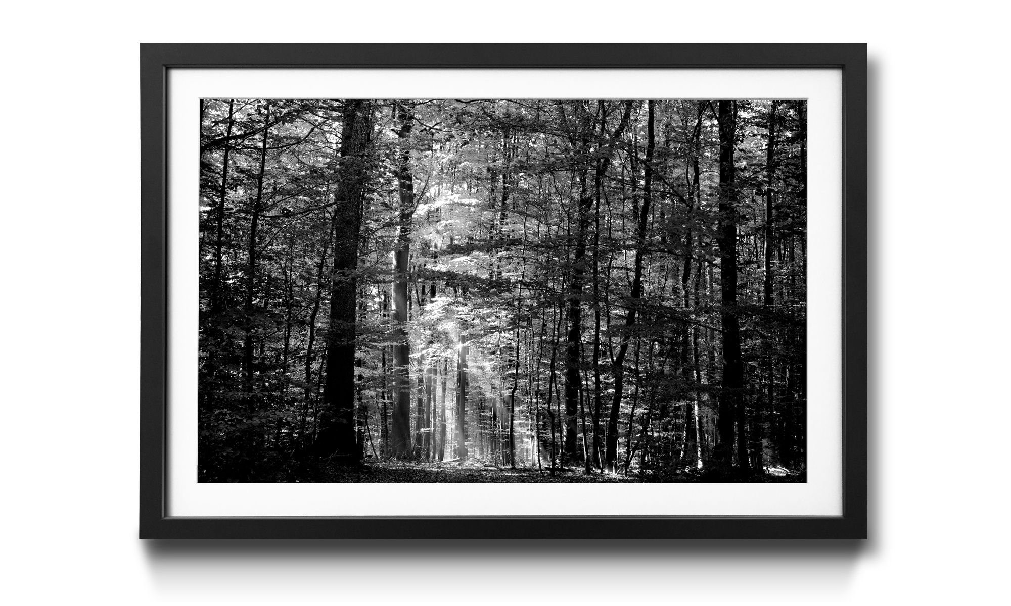 WandbilderXXL Kunstdruck Into The Forest, Wald, Wandbild, in 4 Größen erhältlich