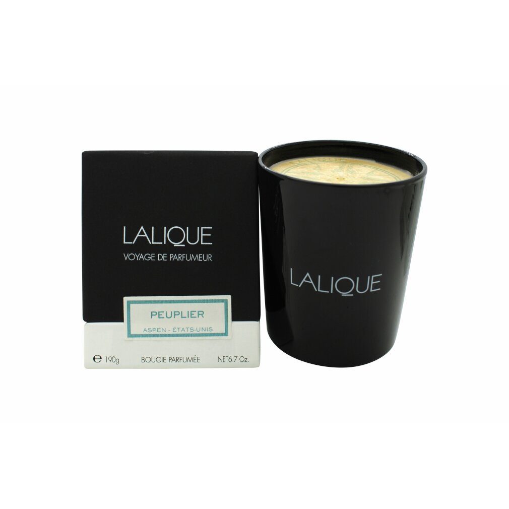 Lalique Duftkerze Candle 190g - Peuplier Aspen