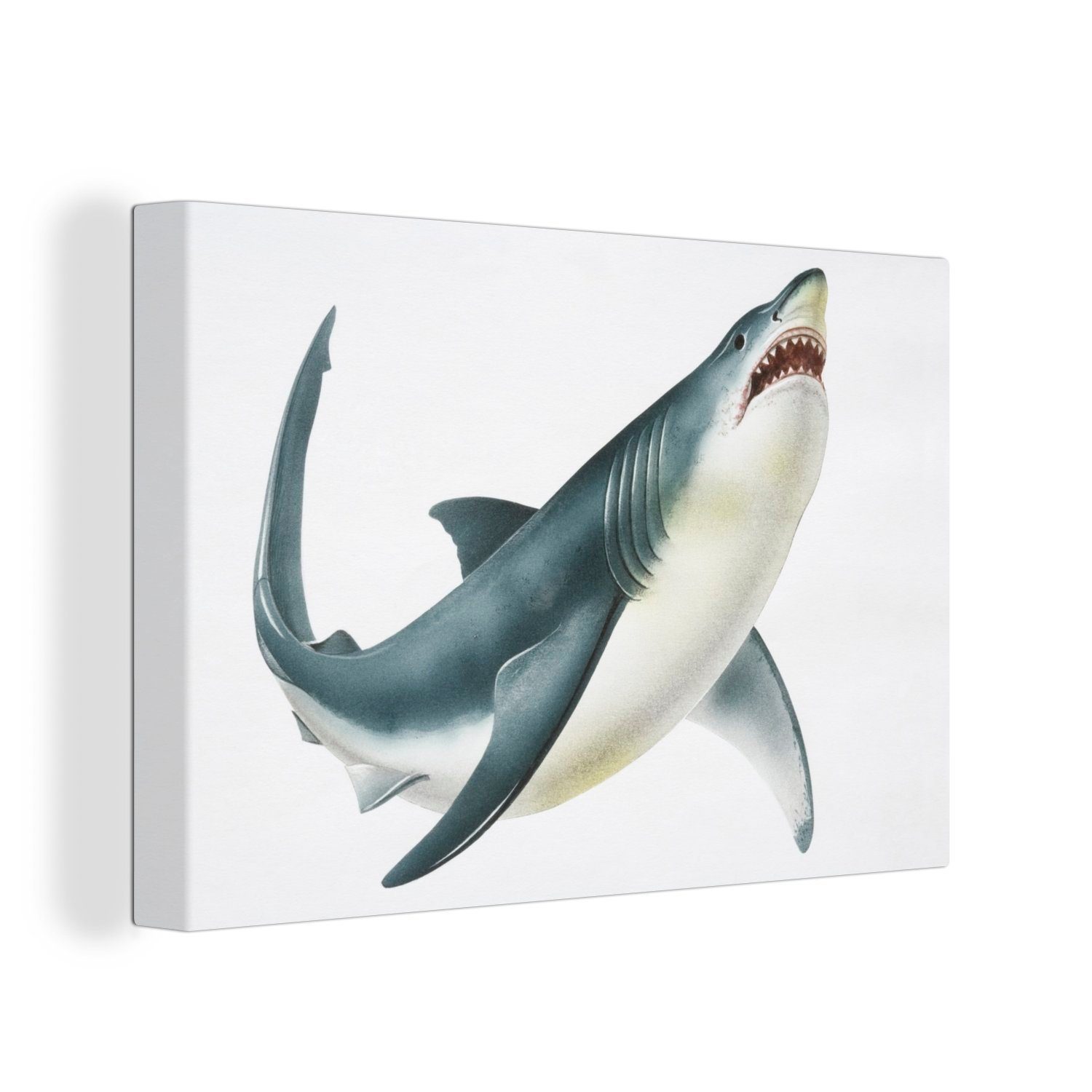 OneMillionCanvasses® Leinwandbild Eine Illustration eines weißen Hais auf weißem Hintergrund, (1 St), Wandbild Leinwandbilder, Aufhängefertig, Wanddeko, 30x20 cm