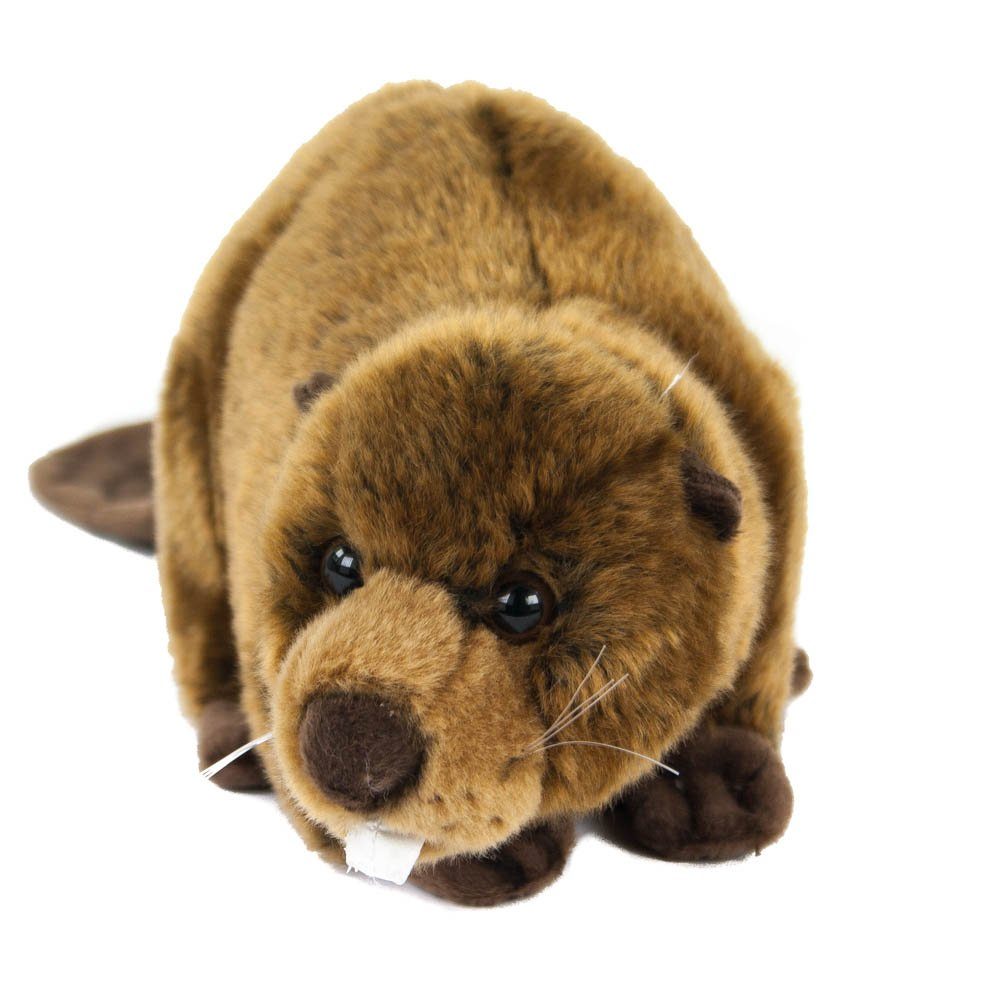 Teddys Rothenburg Kuscheltier Biber braun liegend 40 cm Plüschbiber Stofftier (Plüschtier, Stoffbiber)