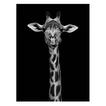 Bilderdepot24 Leinwandbild Tiere Portrait Giraffen Portrait schwarz weiss Bild auf Leinwand XXL, Bild auf Leinwand; Leinwanddruck in vielen Größen