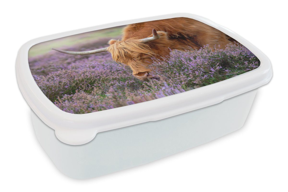 MuchoWow Lunchbox Schottischer Highlander - Tiere - Heide, Kunststoff, (2-tlg), Brotbox für Kinder und Erwachsene, Brotdose, für Jungs und Mädchen weiß