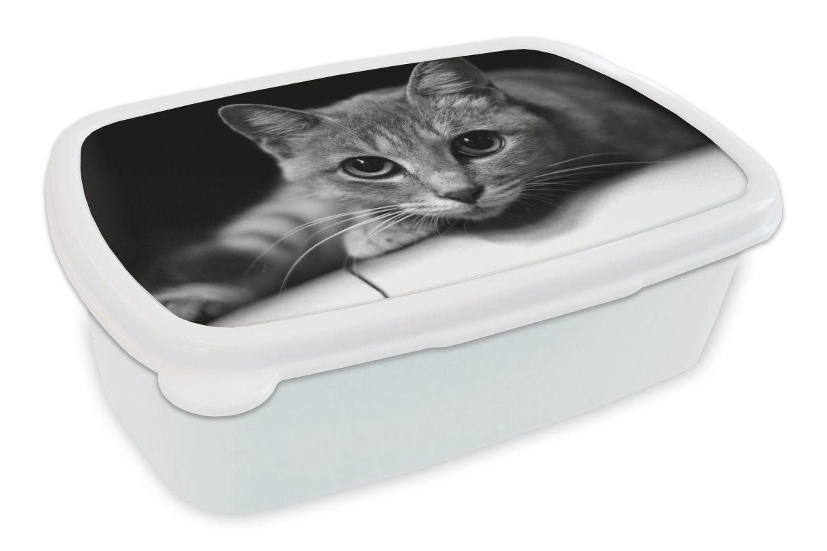 MuchoWow Lunchbox Katze mit großen Pupillen im Nahbereich - schwarz-weiß, Kunststoff, (2-tlg), Brotbox für Kinder und Erwachsene, Brotdose, für Jungs und Mädchen
