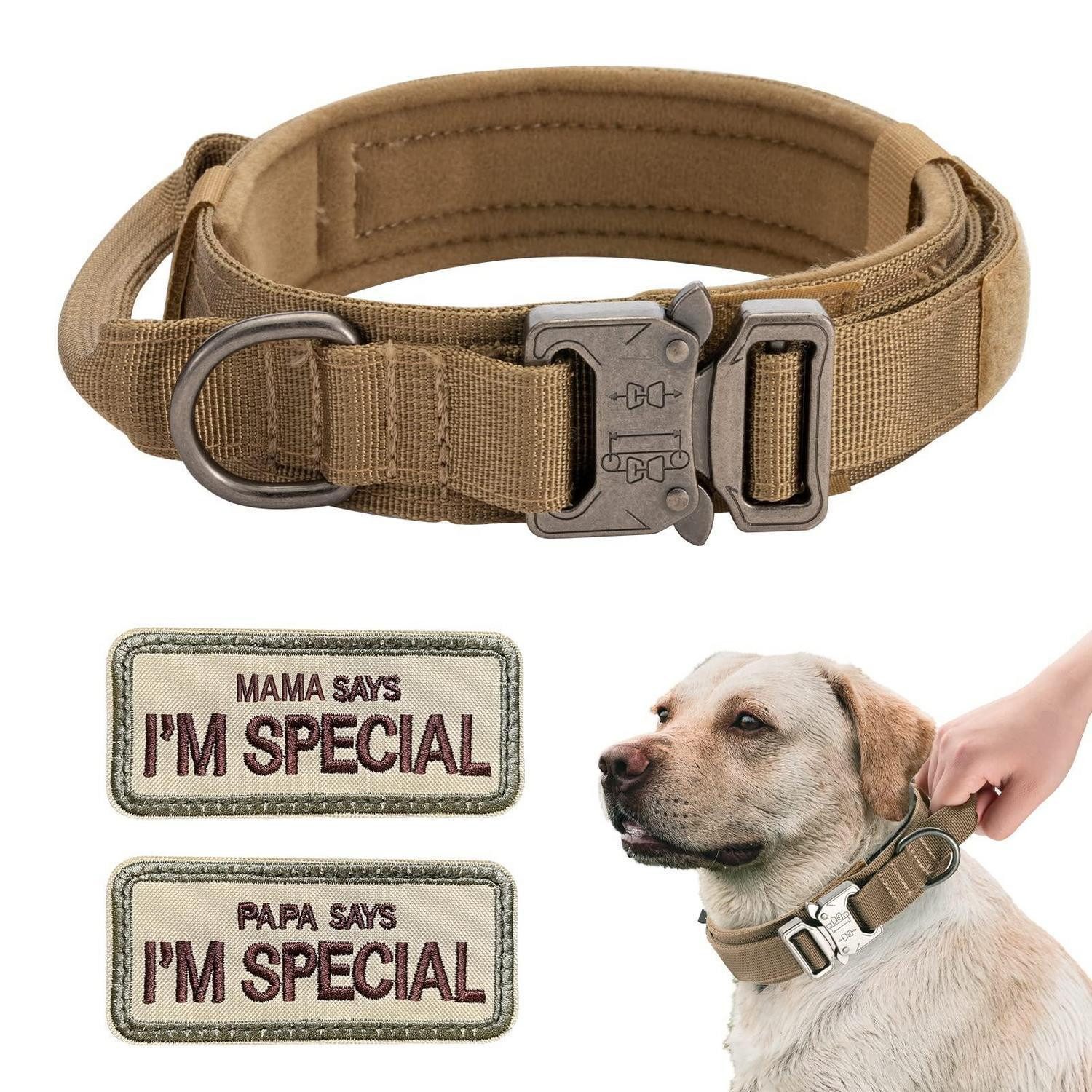 LuxusKollektion Hunde-Halsband Hundehalsband Taktisch Nylon Gepolstert Braun L, Textil