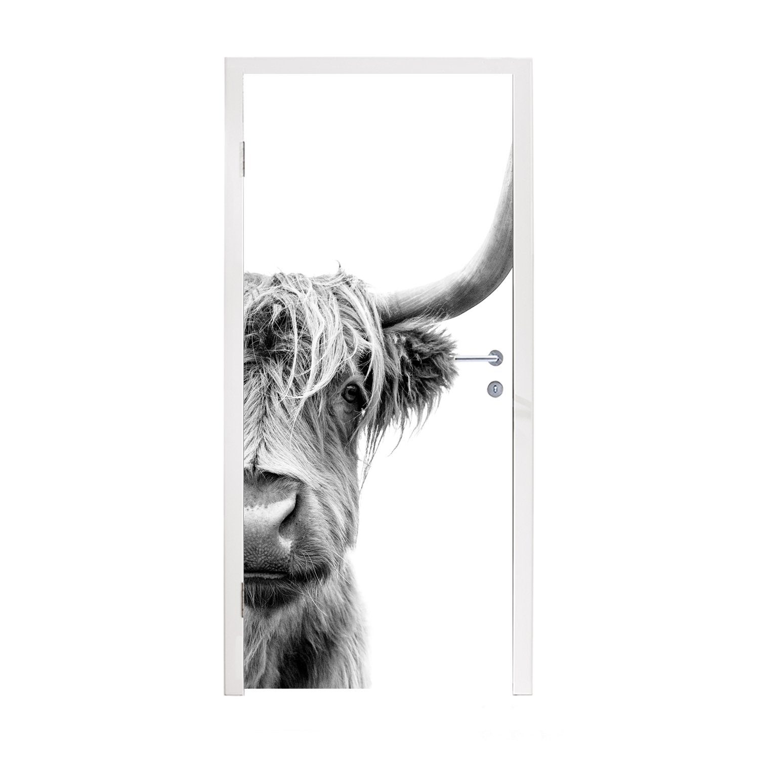 Weiß, St), MuchoWow - Matt, bedruckt, Schwarz Tür, Tiere - Highlander 75x205 - Schottischer Fototapete für Türaufkleber, (1 Türtapete cm