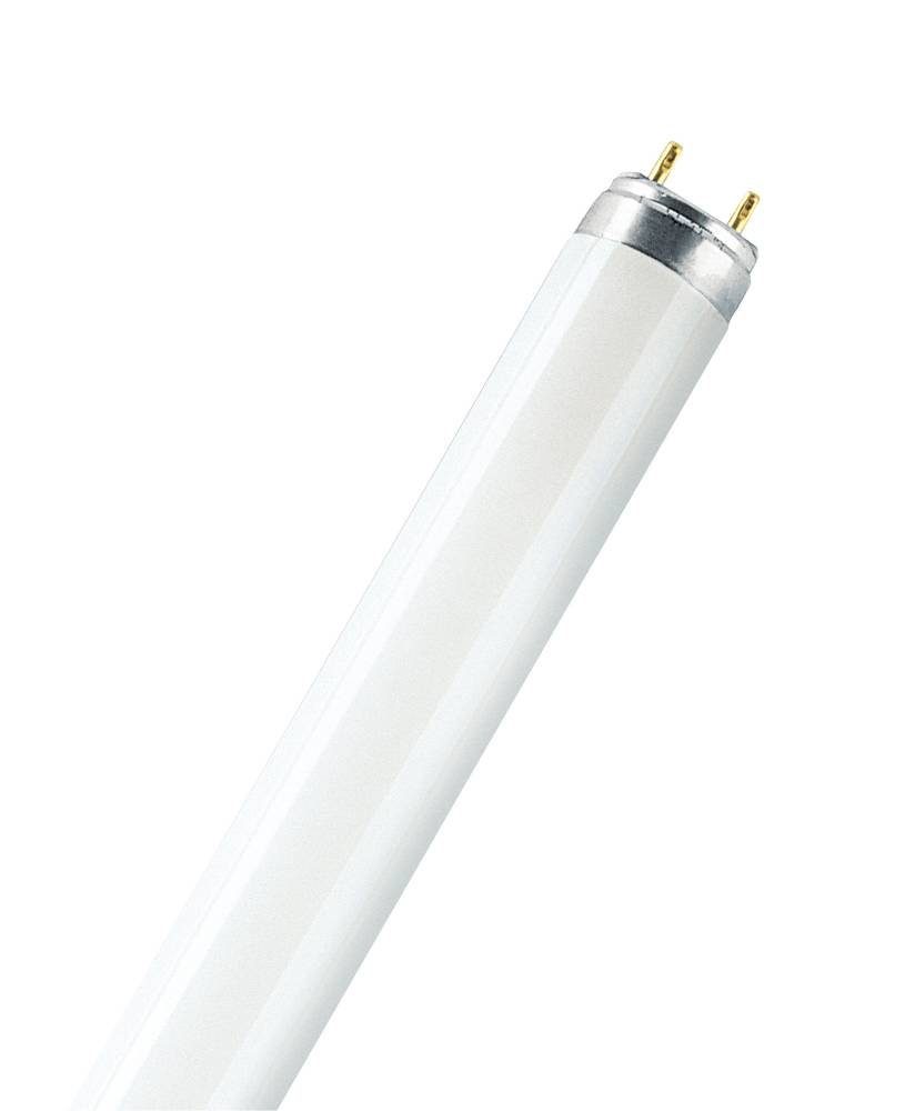 Osram LED-Leuchte Osram Leuchtstoffröhre G13 36W günstig online kaufen