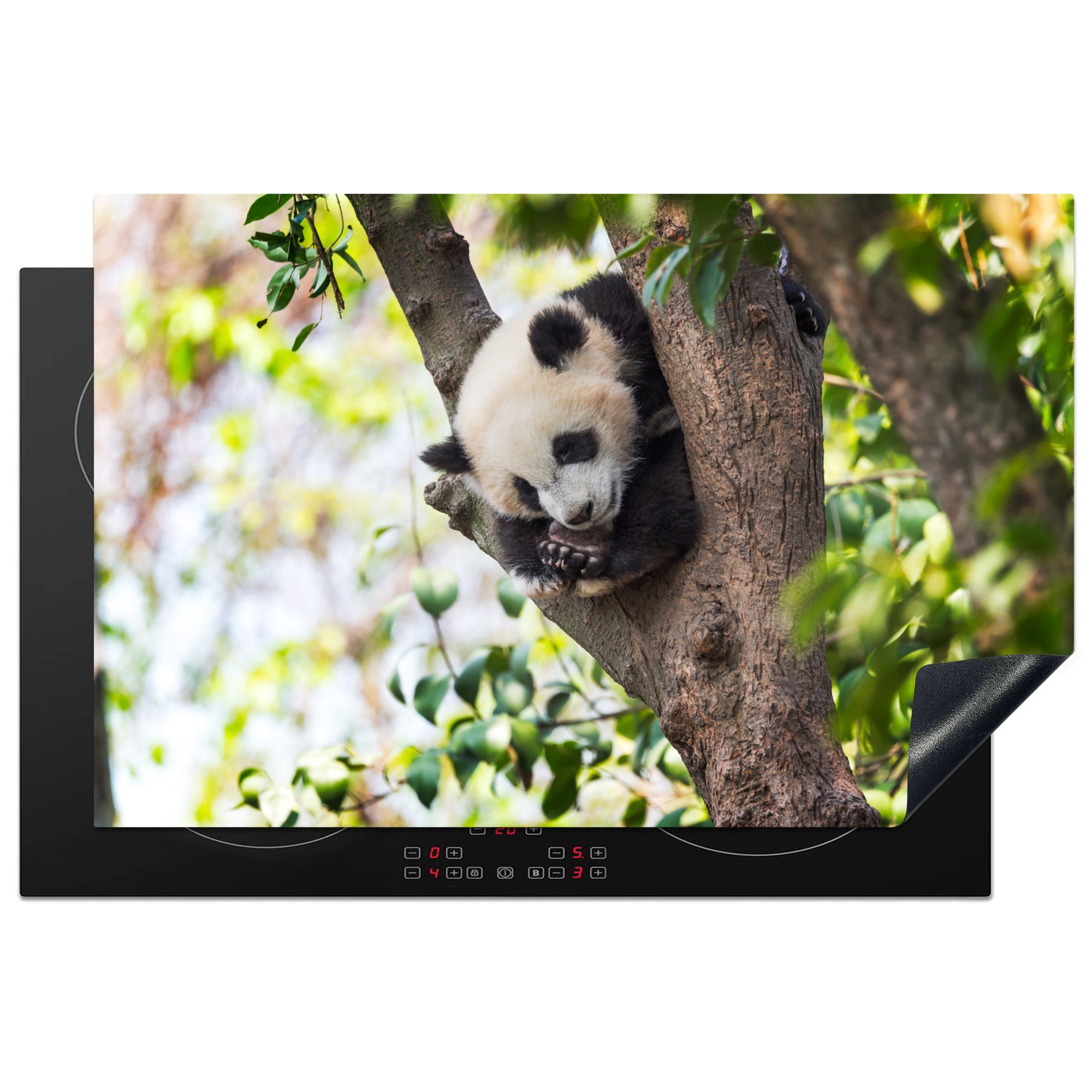 MuchoWow Herdblende-/Abdeckplatte Panda - Baum - Schlaf - Blatt, Vinyl, (1 tlg), 81x52 cm, Induktionskochfeld Schutz für die küche, Ceranfeldabdeckung