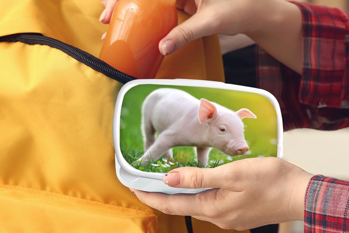 MuchoWow Lunchbox Tiere - Ferkel (2-tlg), für Kinder Jungs und für Brotdose, Schwein, Mädchen Brotbox - Kunststoff, und Erwachsene, weiß