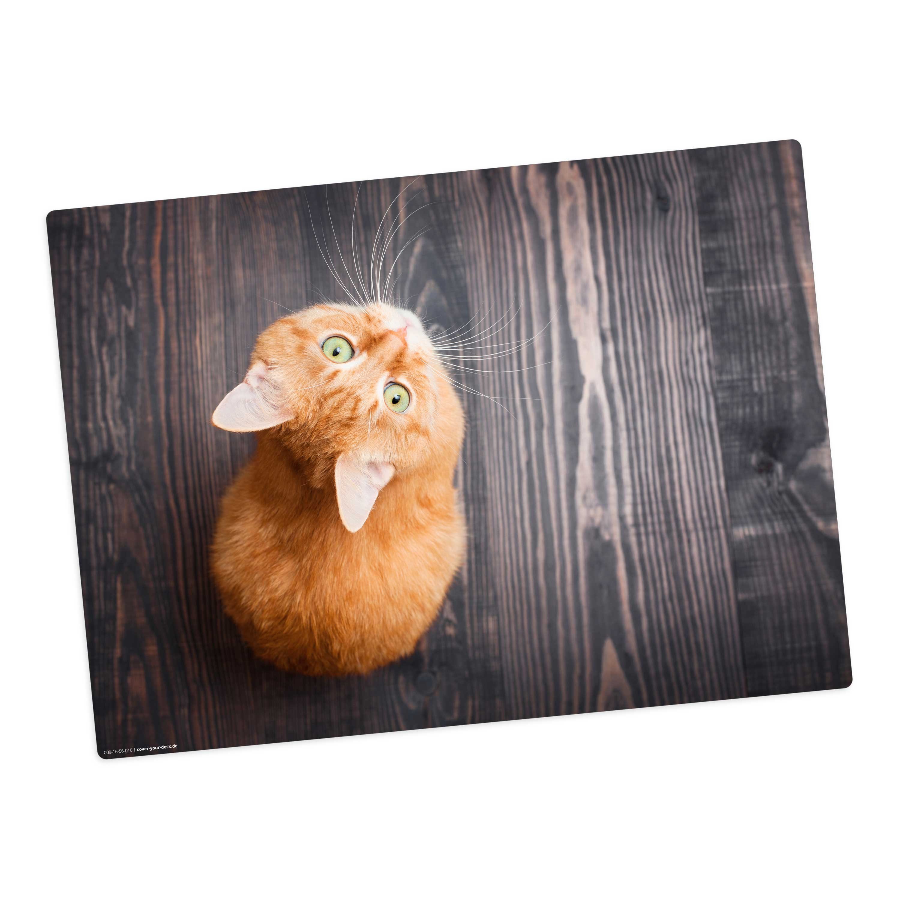 Tischsetmacher Platzset Tischset, Platzset abwaschbar - für Kinder - Orange Katze, (aus erstklassigem Vinyl (Kunststoff - BPA-frei), 1-St., 44 x 32 cm - rutschfeste Tischdekoration), Made in Germany