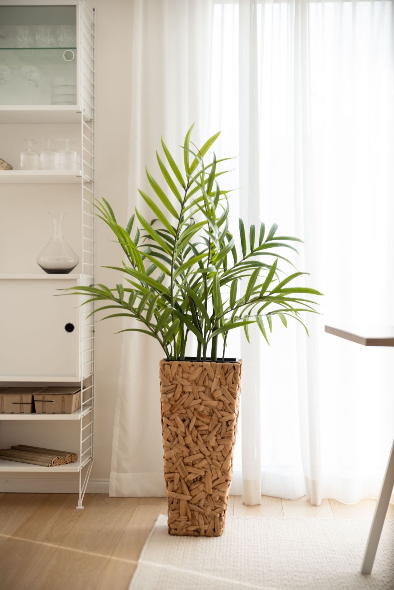 VIVANNO Pflanzkübel Wasserhyazinthe WILD Säule - Natur Geflochten (1 St), 2 günstig online kaufen