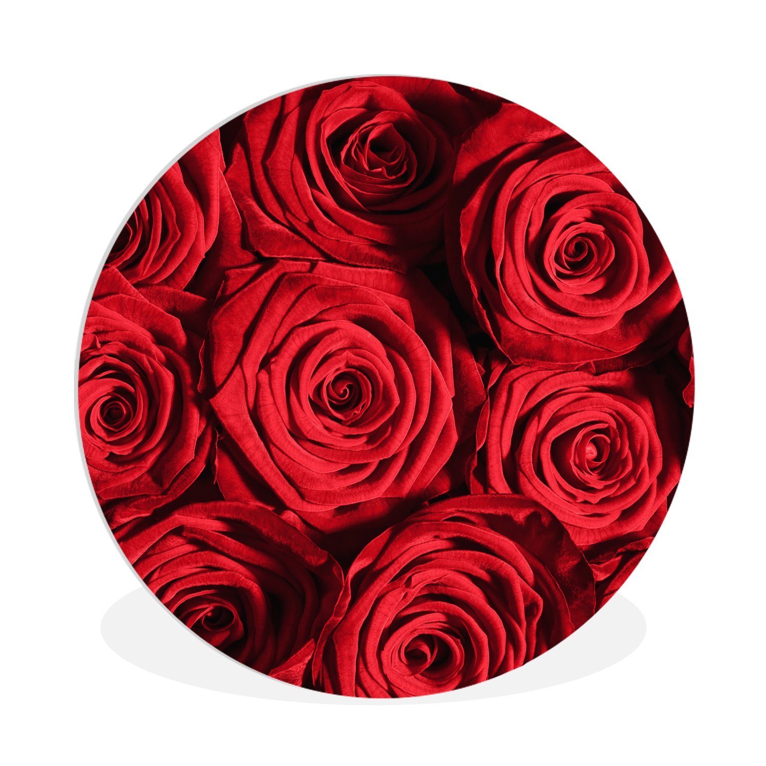 MuchoWow Gemälde Rosen - Rose - Rot, (1 St), Kreis Wanddekoration Forex, Rundes Wandbild, Wohnzimmer, 30x30 cm