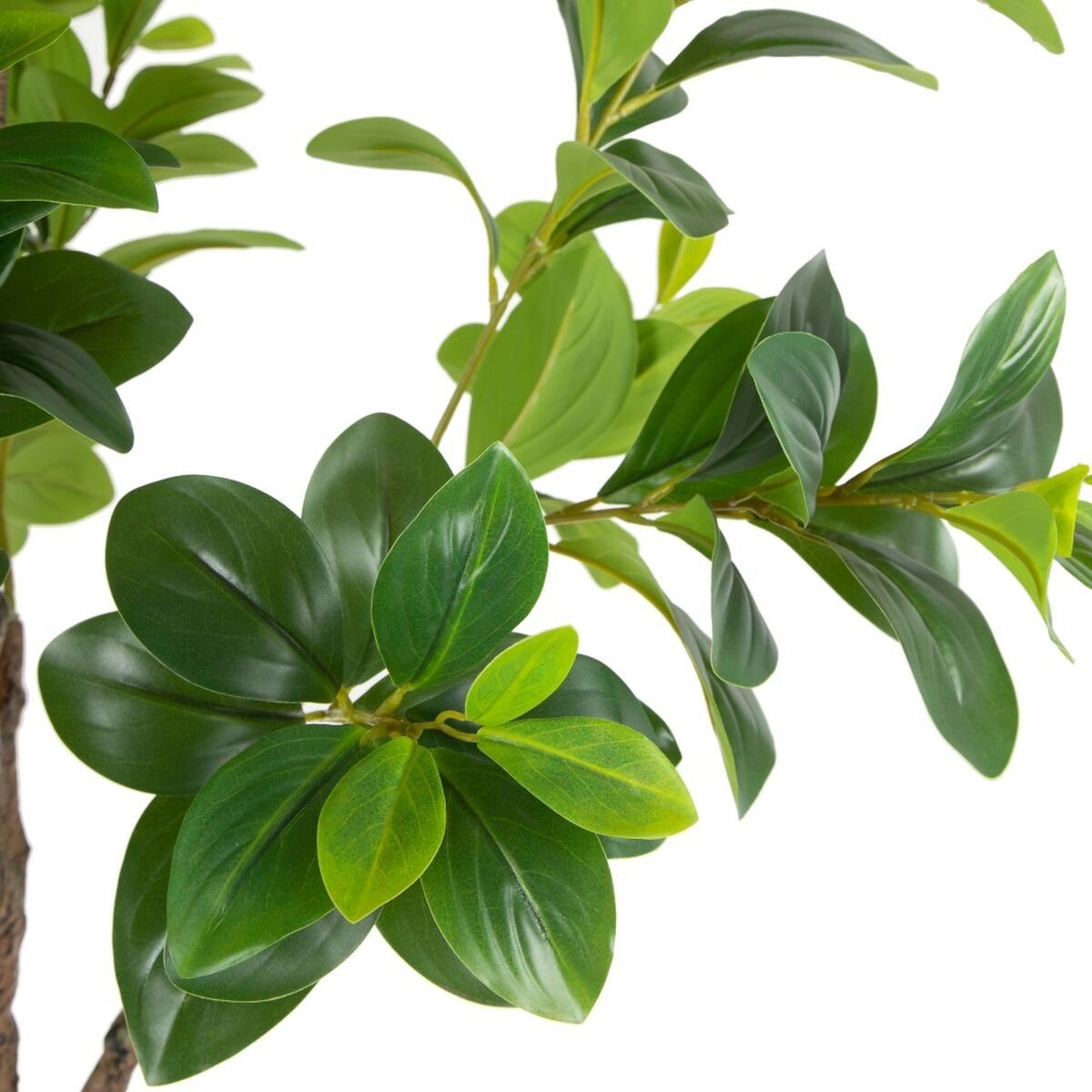 145 cm 19 Künstliche Künstliche Zimmerpflanze Höhe Pflanze, cm Peperomia grün Bigbuy, PVC Dekorationspflanze