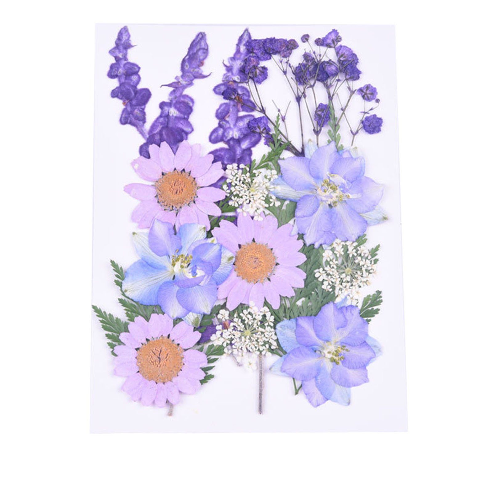 Scrapbooking, Kleine Blumen, Gepresste combination 4 Getrocknete Trockenblume Trockene, Blusmart Blumen,