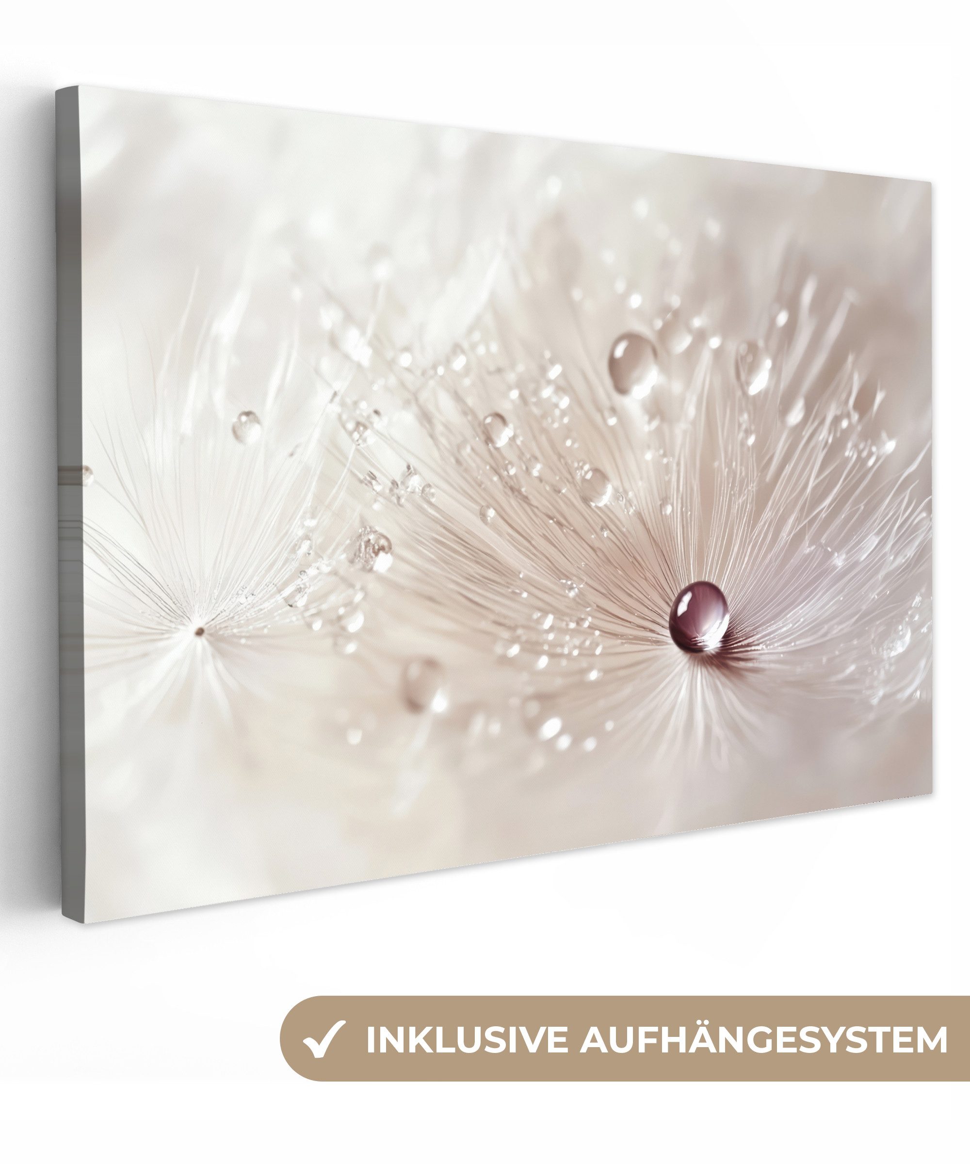 OneMillionCanvasses® Leinwandbild Blume - Abstrakt - Weiß - Wasser - Natur, günstig online kaufen