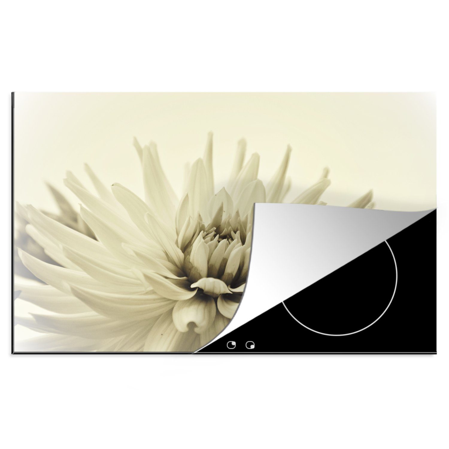 MuchoWow Herdblende-/Abdeckplatte Weiße Dahlienblüte Sepia-Fotodruck, Vinyl, (1 tlg), 81x52 cm, Induktionskochfeld Schutz für die küche, Ceranfeldabdeckung