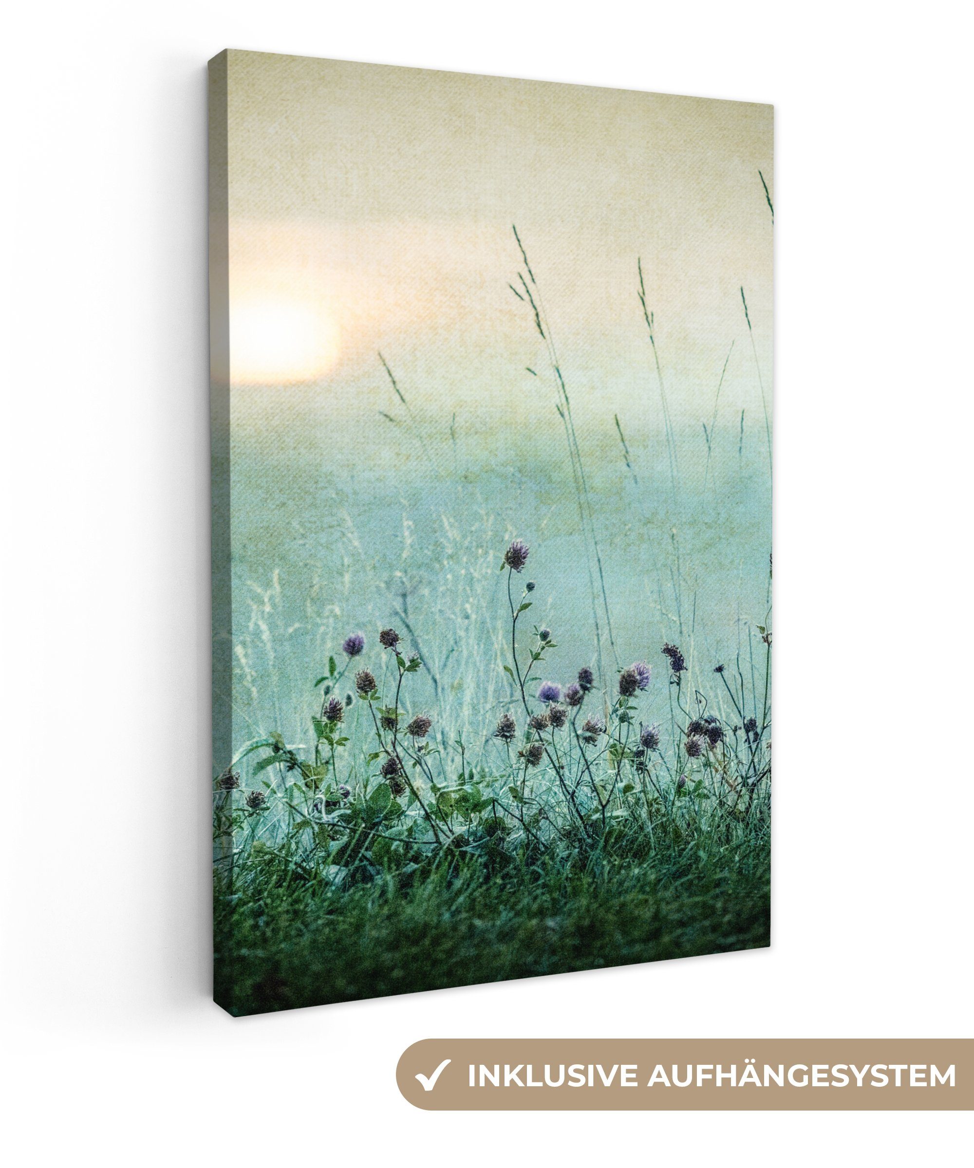 OneMillionCanvasses® Leinwandbild Natur - Vintage - Blumen - Sonne, Fotodru günstig online kaufen