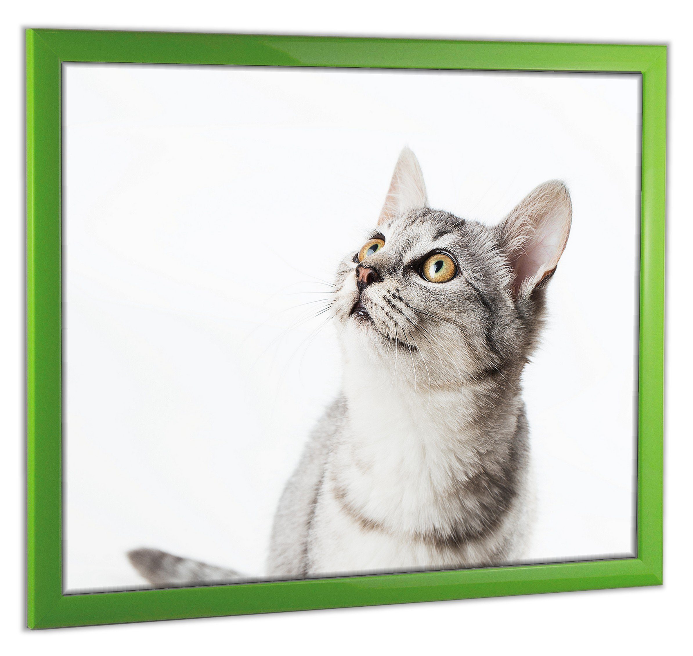 myposterframe Einzelrahmen Bilderrahmen Cupid Bunt, (1 günstig online kaufen