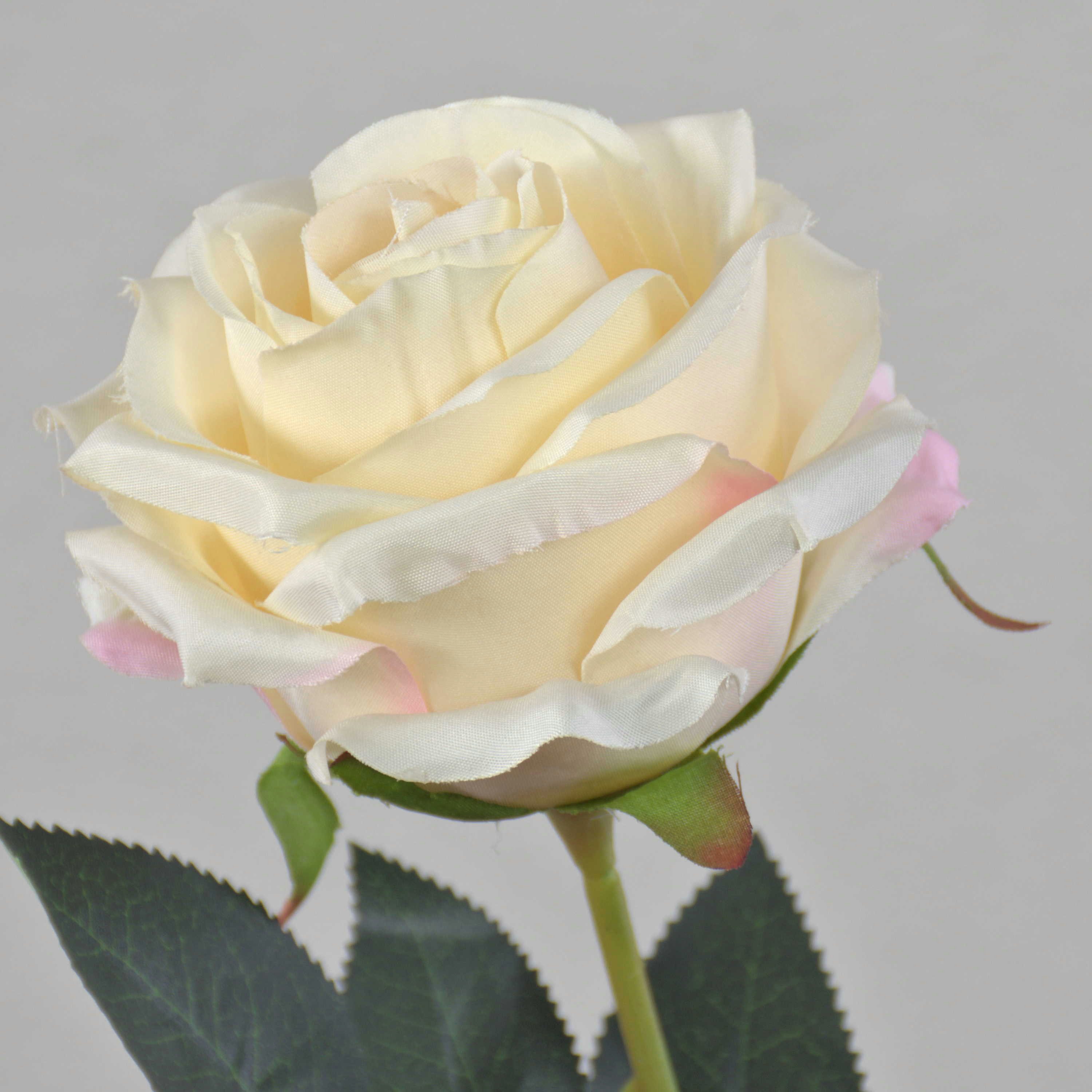 Kunstblume Textil Rose Eleazar, Creme-Aprikose, 65cm, Ø9cm Rose, artplants, Höhe 65.0 cm