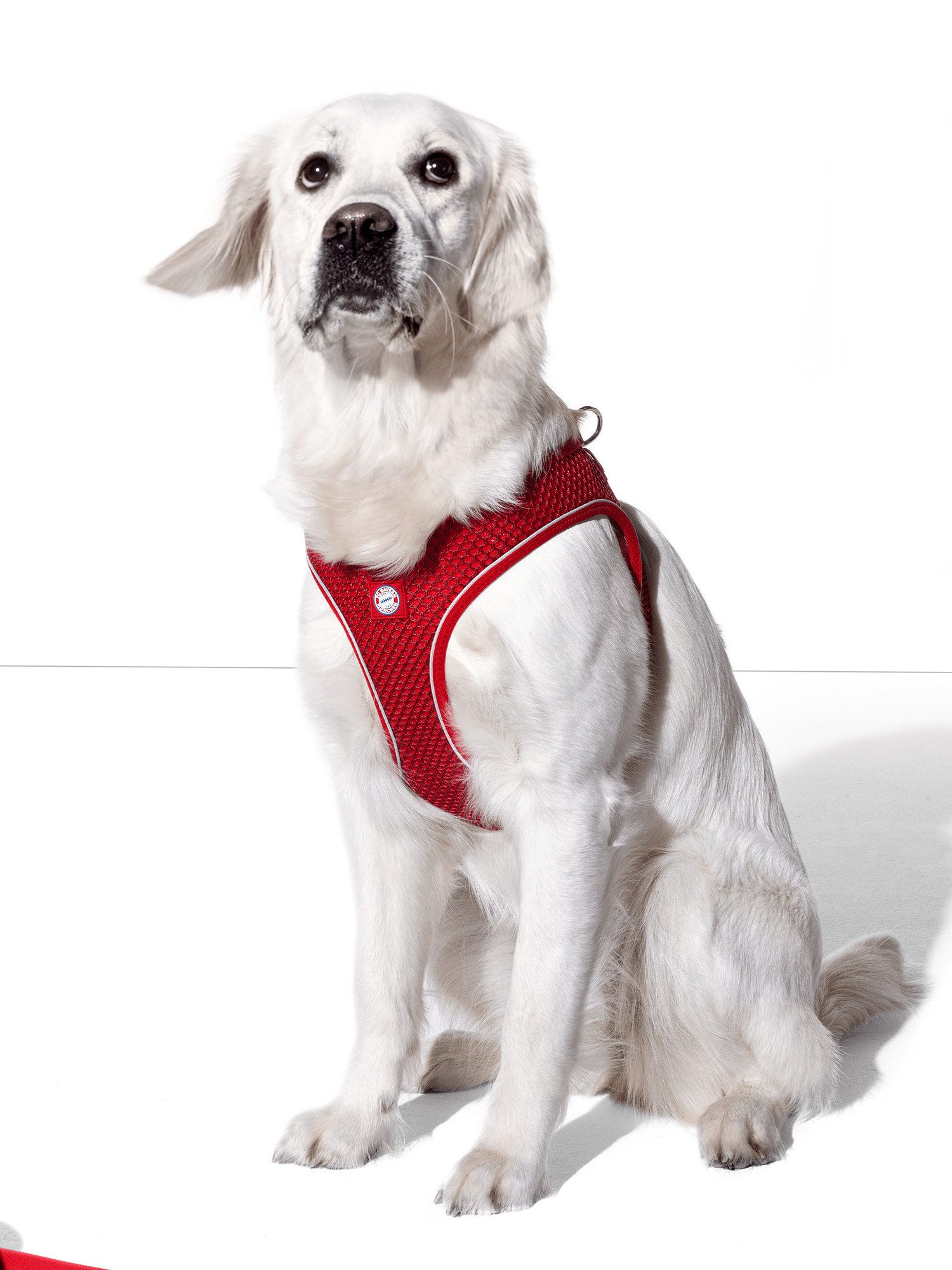 Hunter Hunde-Geschirr FC Bayern München, Hundegeschirr Hilo Comfort FC Bayern, Rot, Polyester