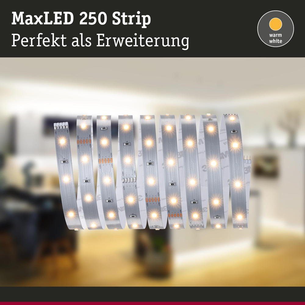 Paulmann MaxLED 1-flammig, in 2500mm, LED Strip Stripe 750lm Erweiterung 10W LED 2700K Streifen LED Silber