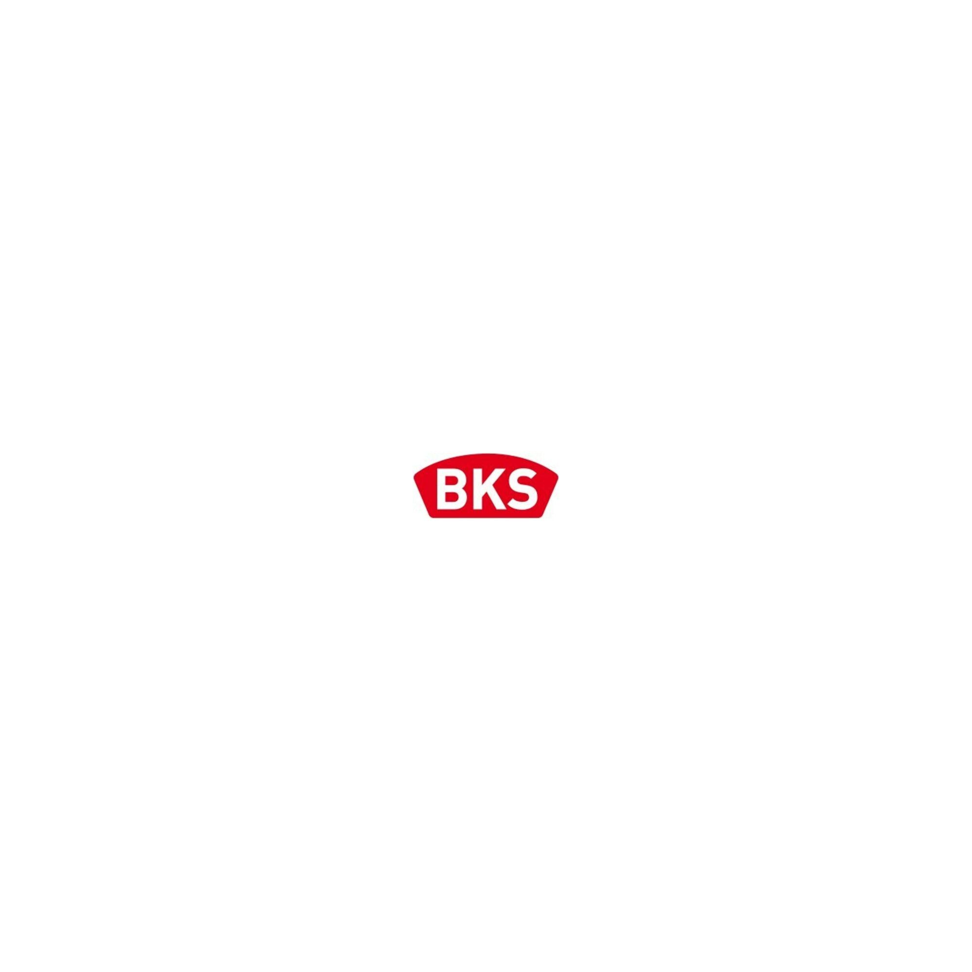 BKS Profilzylinder ZT-Einsteckschl.0515 PZ 20/ 60/72/8mm DIN L silber rd Kl 3 Zinkdruckgr