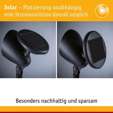 Paulmann LED Solarleuchte LED Solar Erdspießstrahler Solena in Schwarz 0,03W 2lm IP44 mit Dämmer, keine Angabe, Leuchtmittel enthalten: Ja, fest verbaut, LED, warmweiss, Solarleuchten