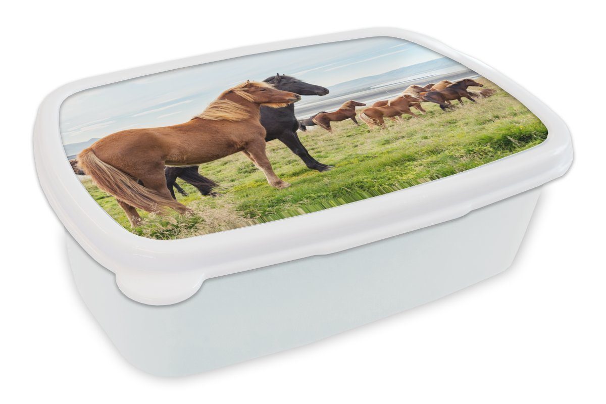 MuchoWow Lunchbox Herde von Isländerpferden im grünen Gras, Kunststoff, (2-tlg), Brotbox für Kinder und Erwachsene, Brotdose, für Jungs und Mädchen weiß