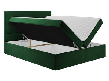 MIRJAN24 Boxspringbett Hugo III (mit Hauptmatratze, Topper), Doppelbett mit zwei Bettkästen für die Bettwäsche, Kopfteil