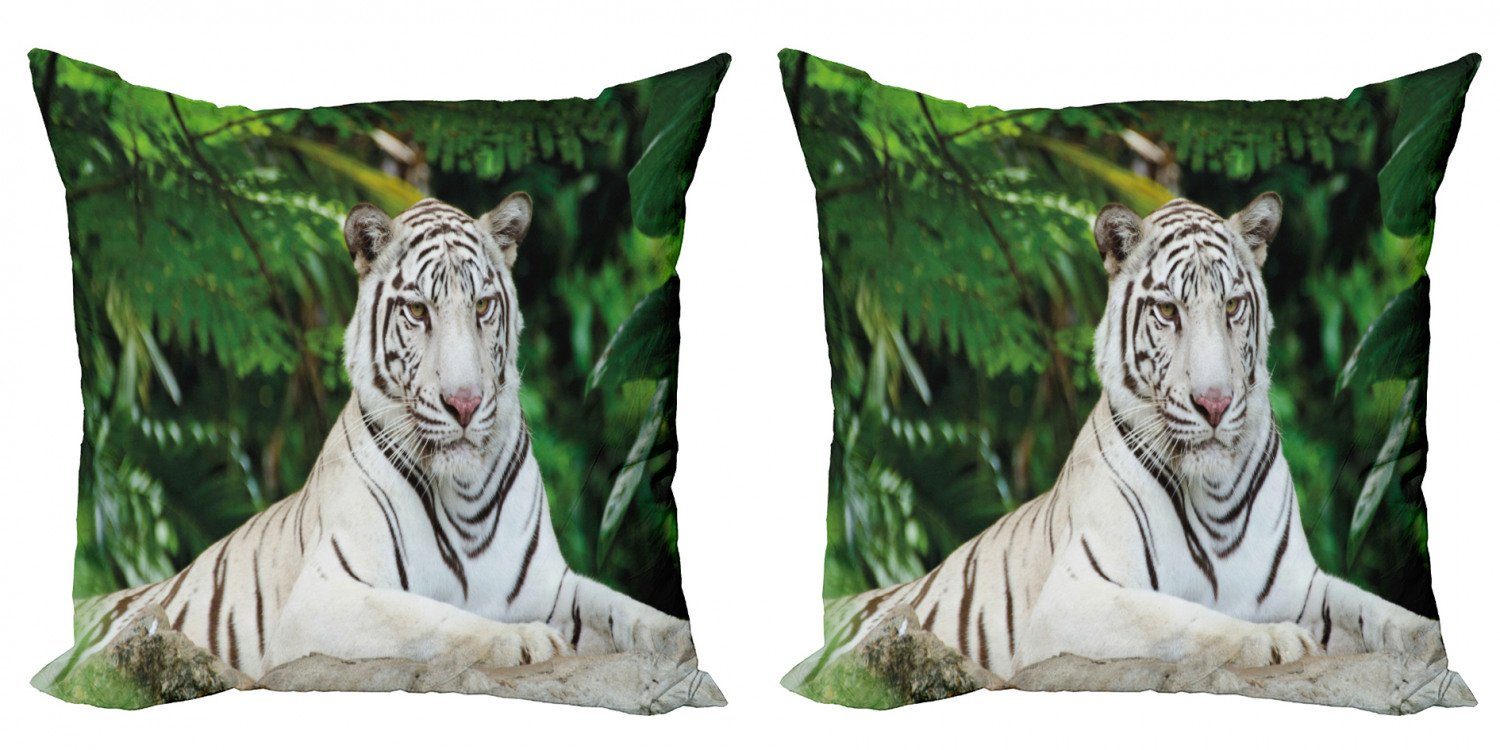 Bengal-Katze auf Stück), Digitaldruck, Felsen Albino Tiger Modern Abakuhaus Doppelseitiger (2 Kissenbezüge Accent