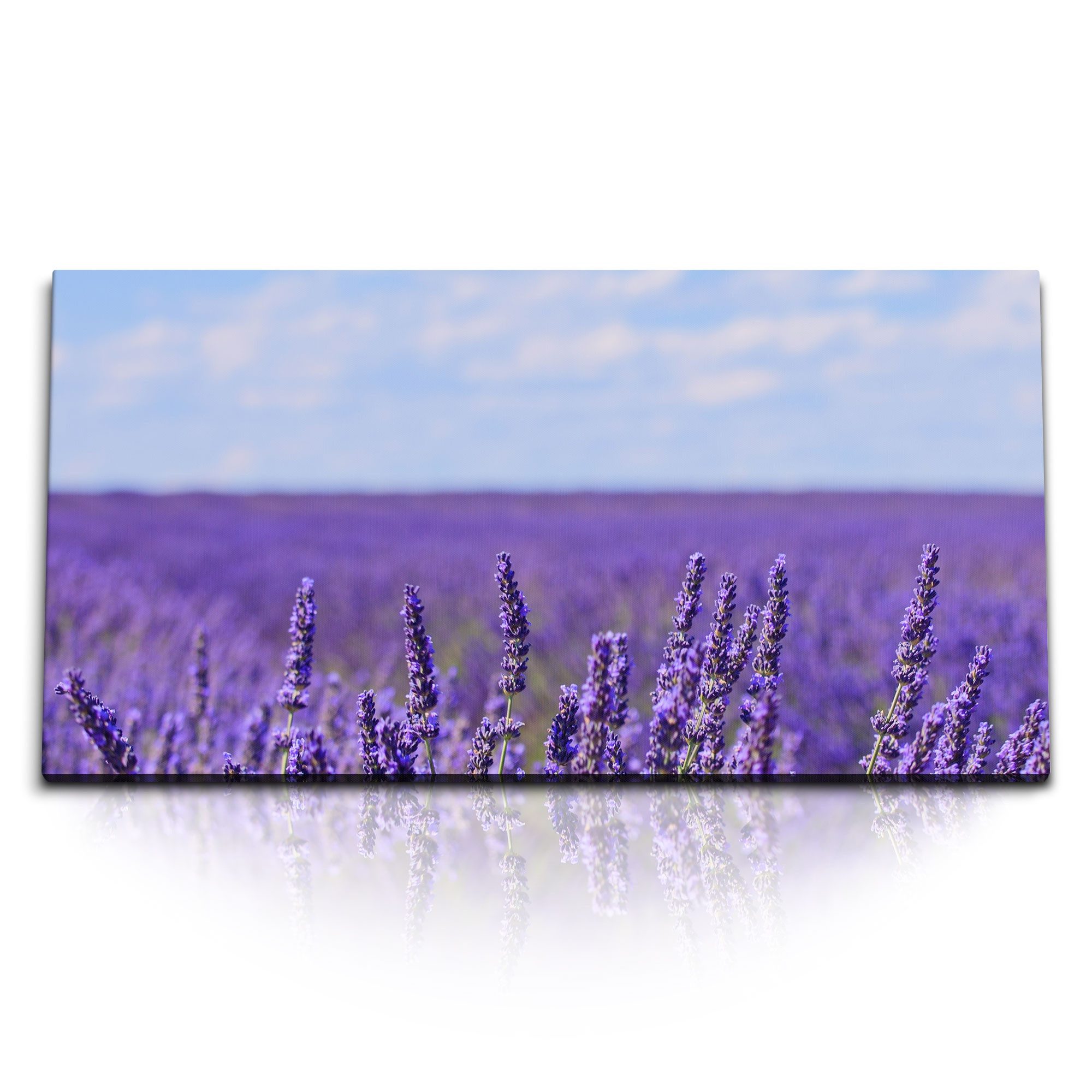 Leinwandbild Kunstdruck Bilder 120x60cm Lavendel Lila Lavendelfeld Horizont Sommer