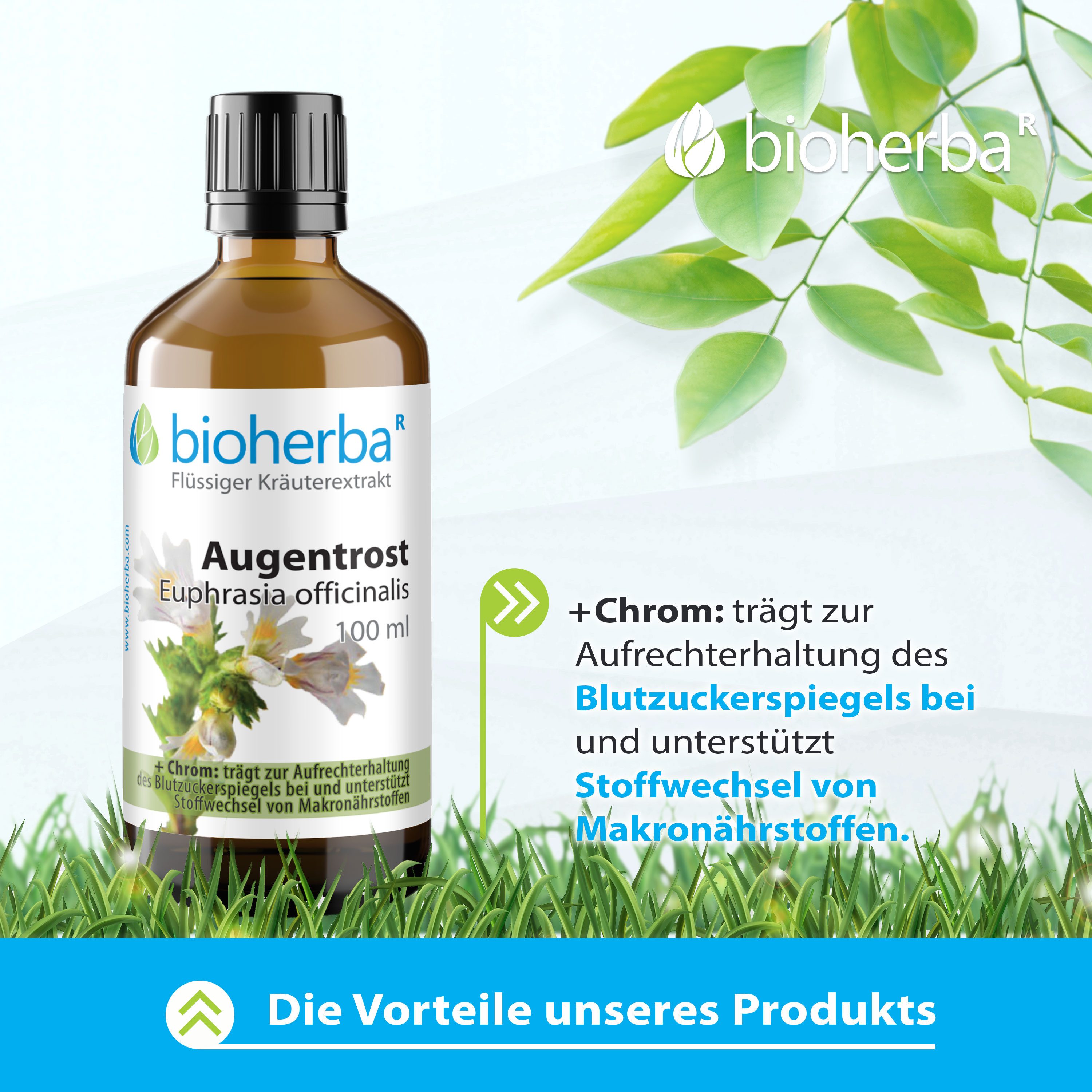BIOHERBA R Bioherba Augentrost Euphrasia officinalis Tropfen Tinktur 100 ml Tropfen, 1 er