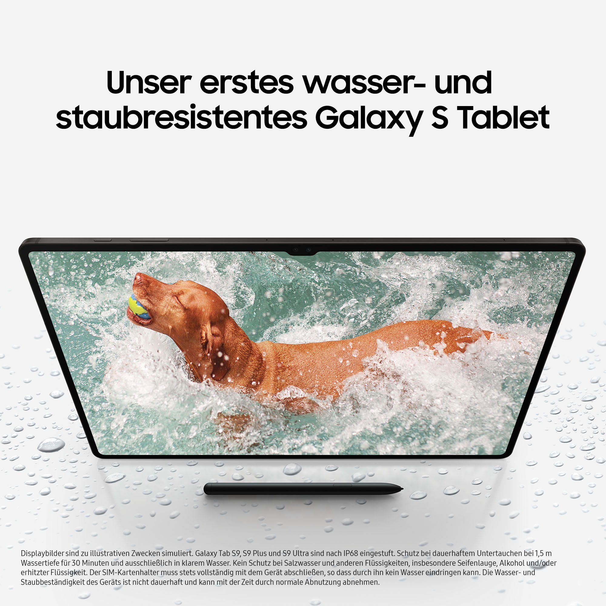 Android) S9+ Tab Beige Samsung Tablet GB, (12,4", WiFi 256 Galaxy