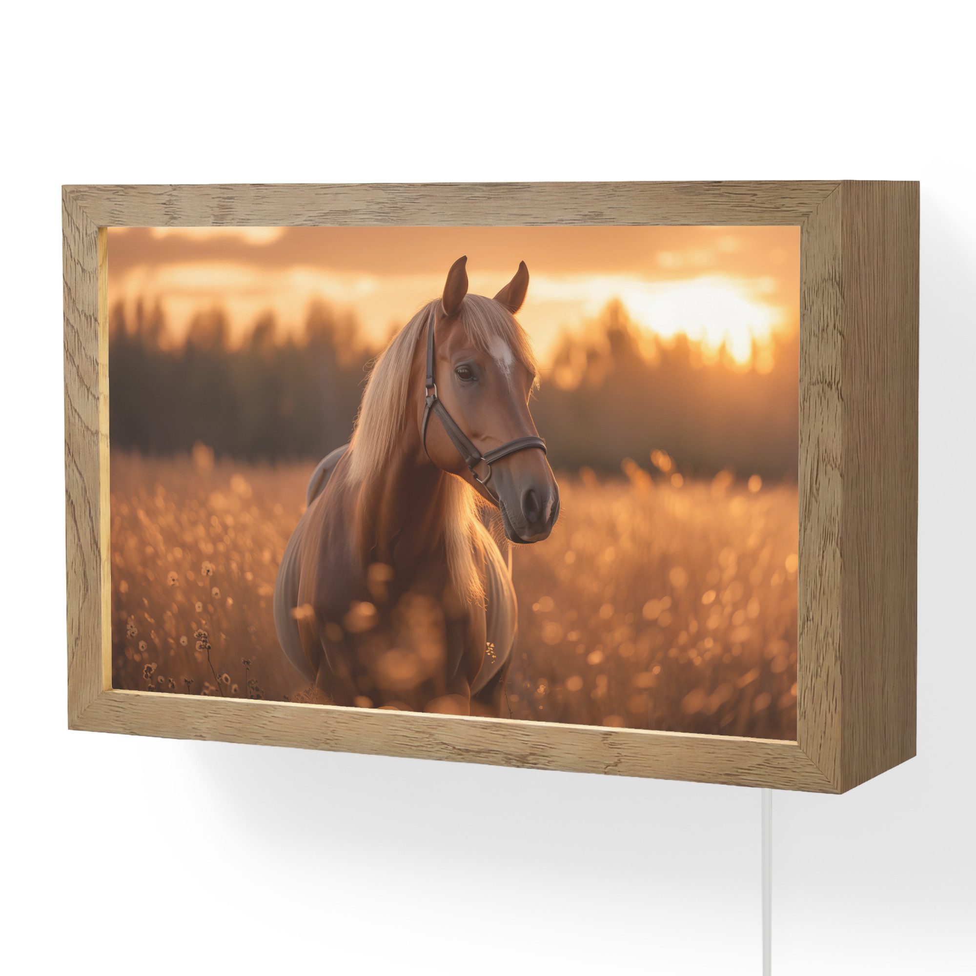 OnlyWow Wandleuchte Lightbox Pferd - Natur - Tier - Braun - Tierporträt, Dimmbar, Farbwechsel, LED, Warmweiß, Kaltweiß, Neutralweiß Einstellbar, Wandlampe Innen, Dimmbar, mit Kabel, LED, Modern, Schlafzimmer