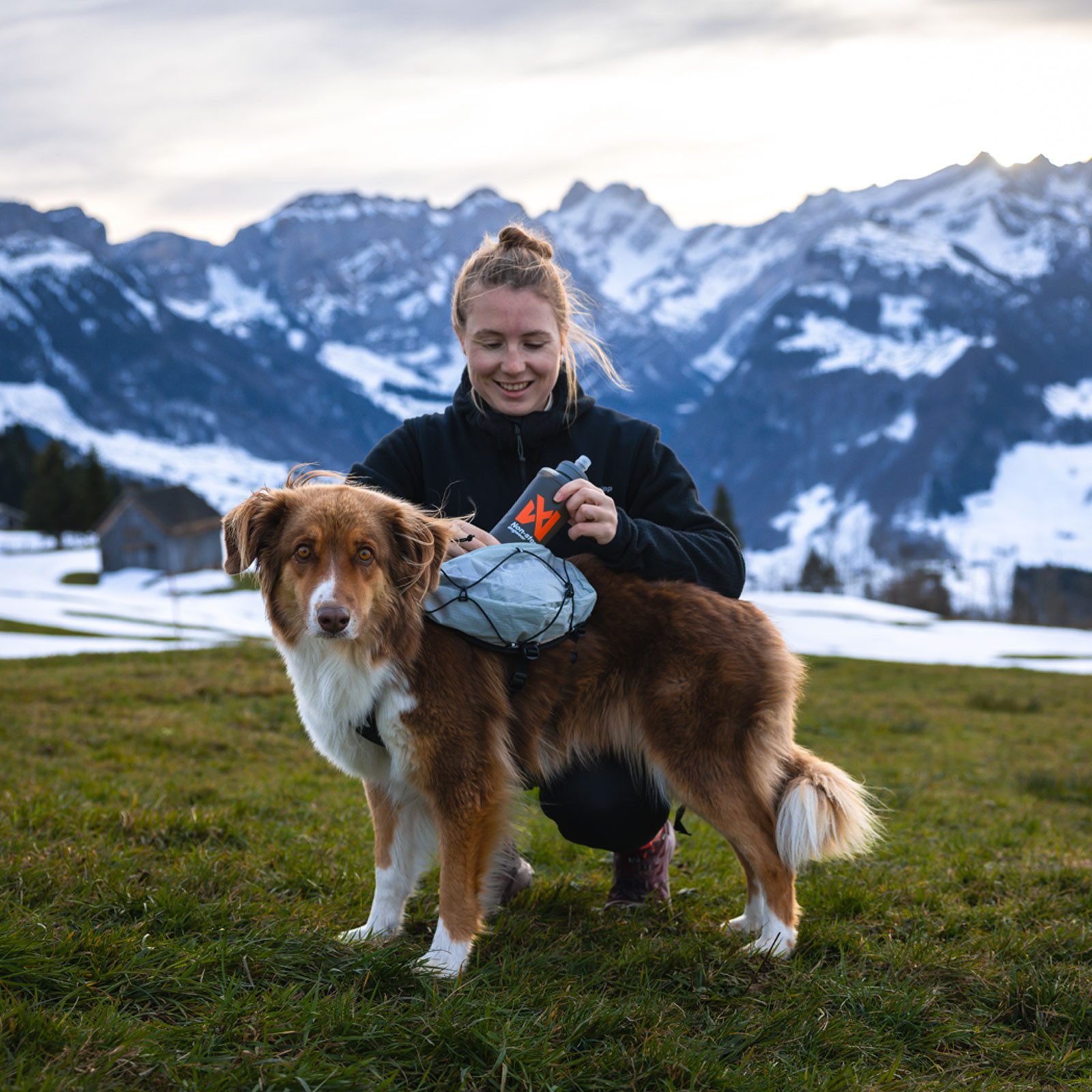 Non-stop dogwear Hunde-Geschirr Non-Stop dogwear Trail light dog backpack, ultraleichter, atmungsaktiver Hunderucksack