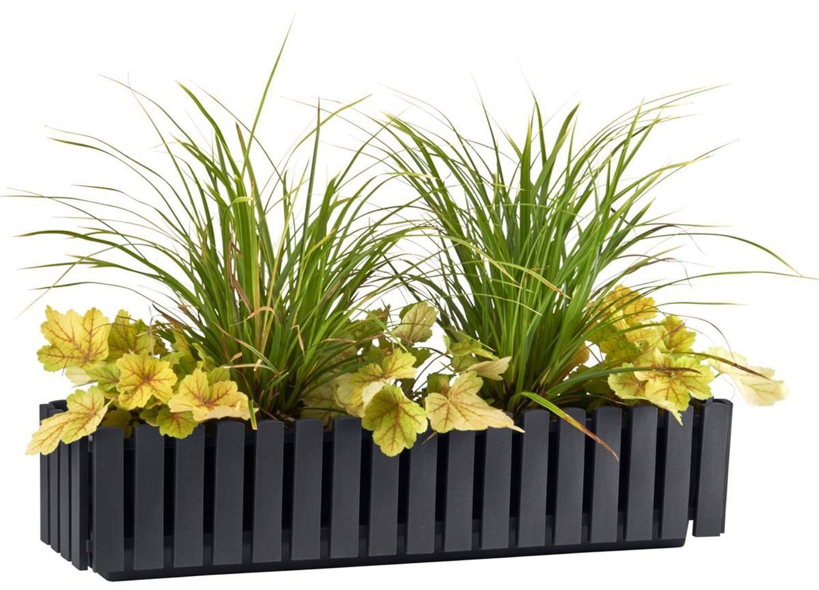 BURI Blumenkasten Blumenkasten Fency 75x18,5cm Anthrazit Bewässerungskasten Balkonkasten