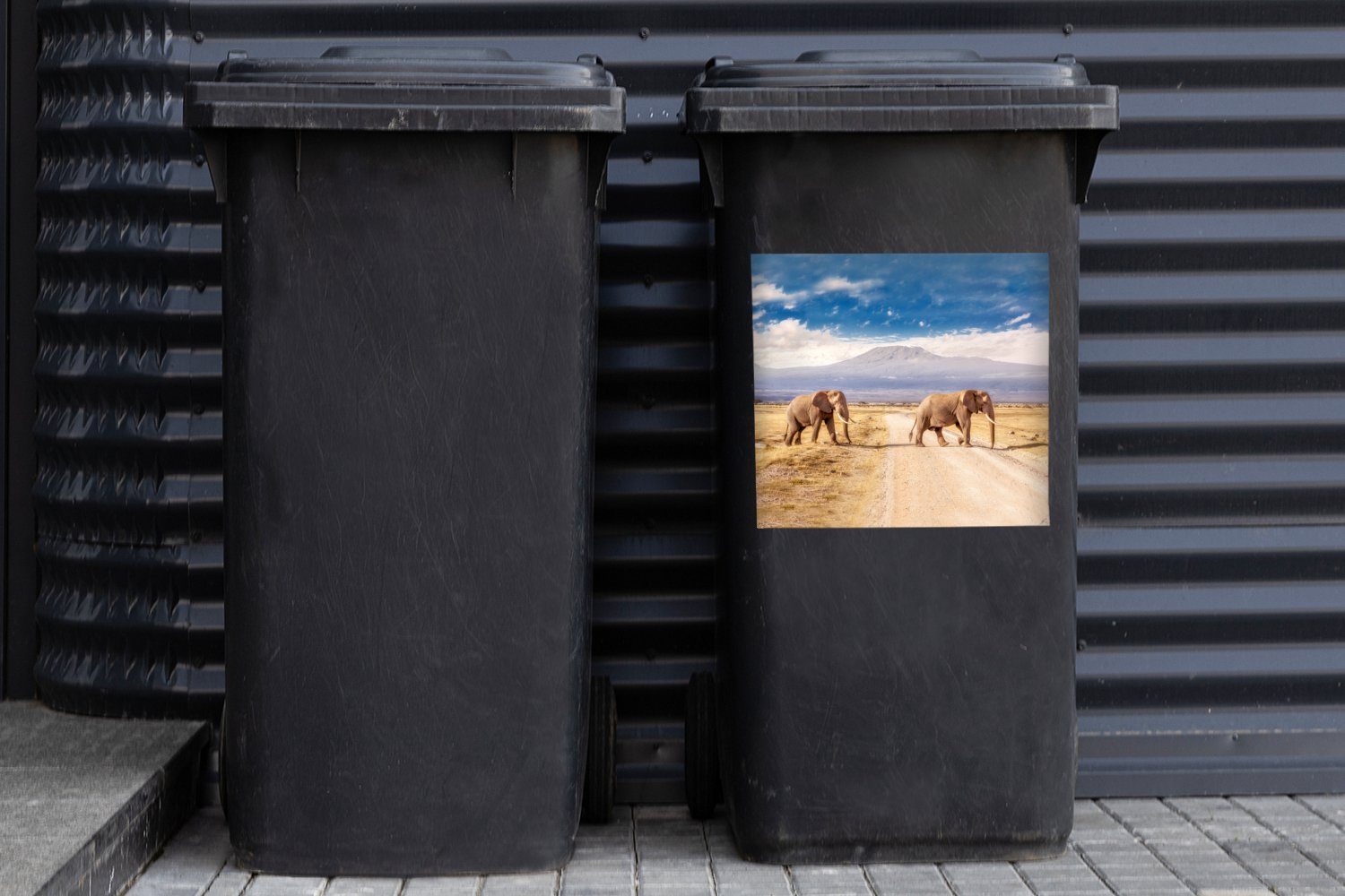MuchoWow Wandsticker Überqueren St), Mülltonne, Abfalbehälter beim (1 Container, Elefanten Drei Sticker, Mülleimer-aufkleber