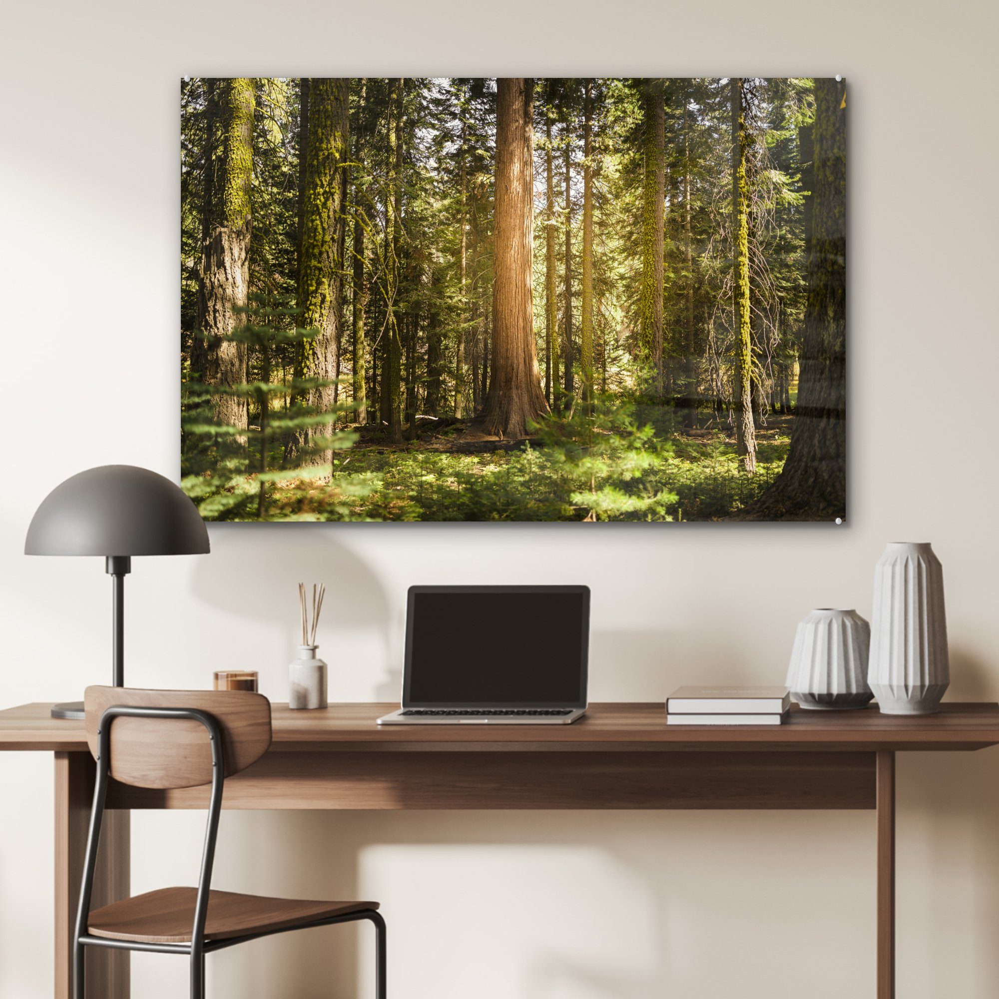 Sequoia den, Schlafzimmer in Wohnzimmer der & Park entlang Acrylglasbild MuchoWow St), (1 National im Acrylglasbilder Sonnenstrahlen Bäume