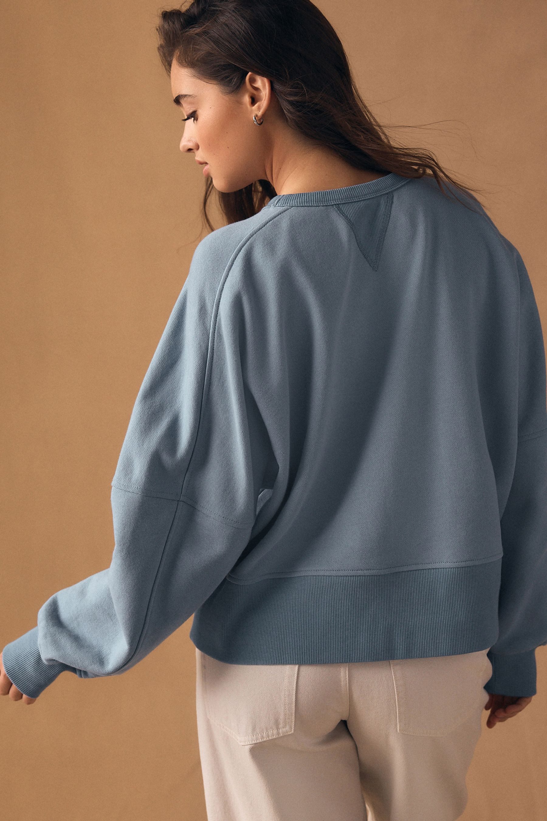 Next Sweater Sweatshirt (1-tlg) günstig online kaufen